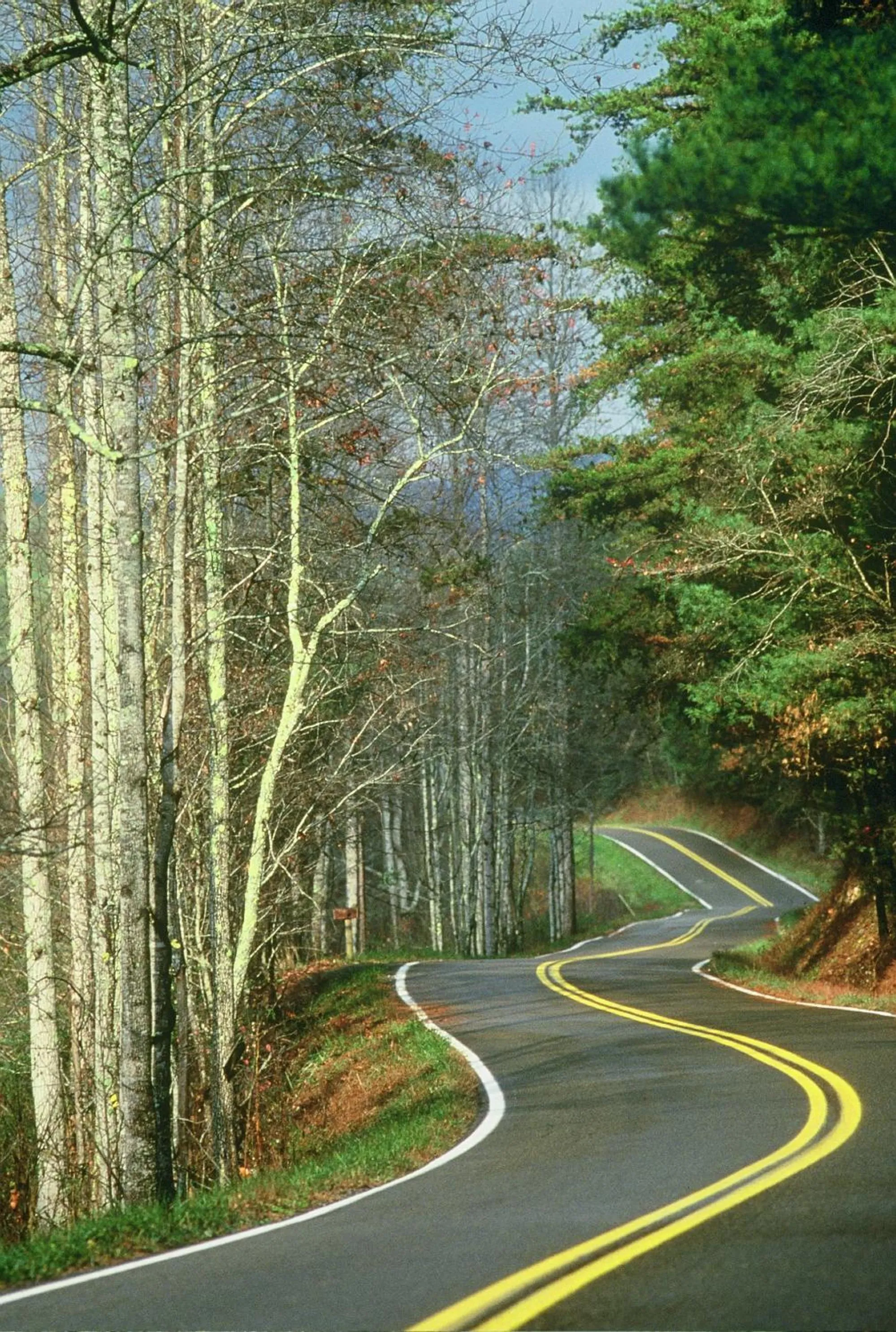 Area and facilities in The Smoke House Lodge