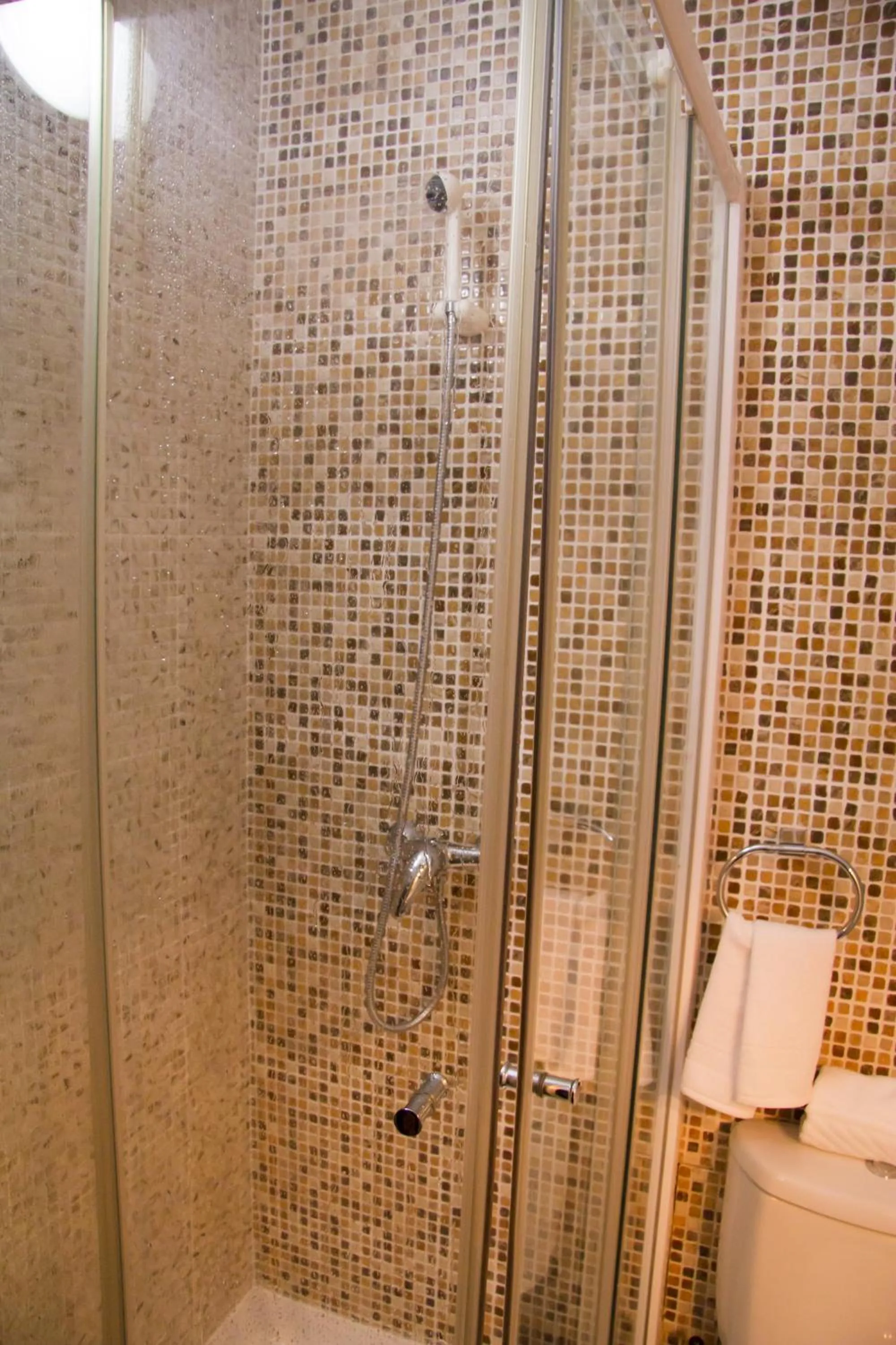 Shower in Vivi Hotel
