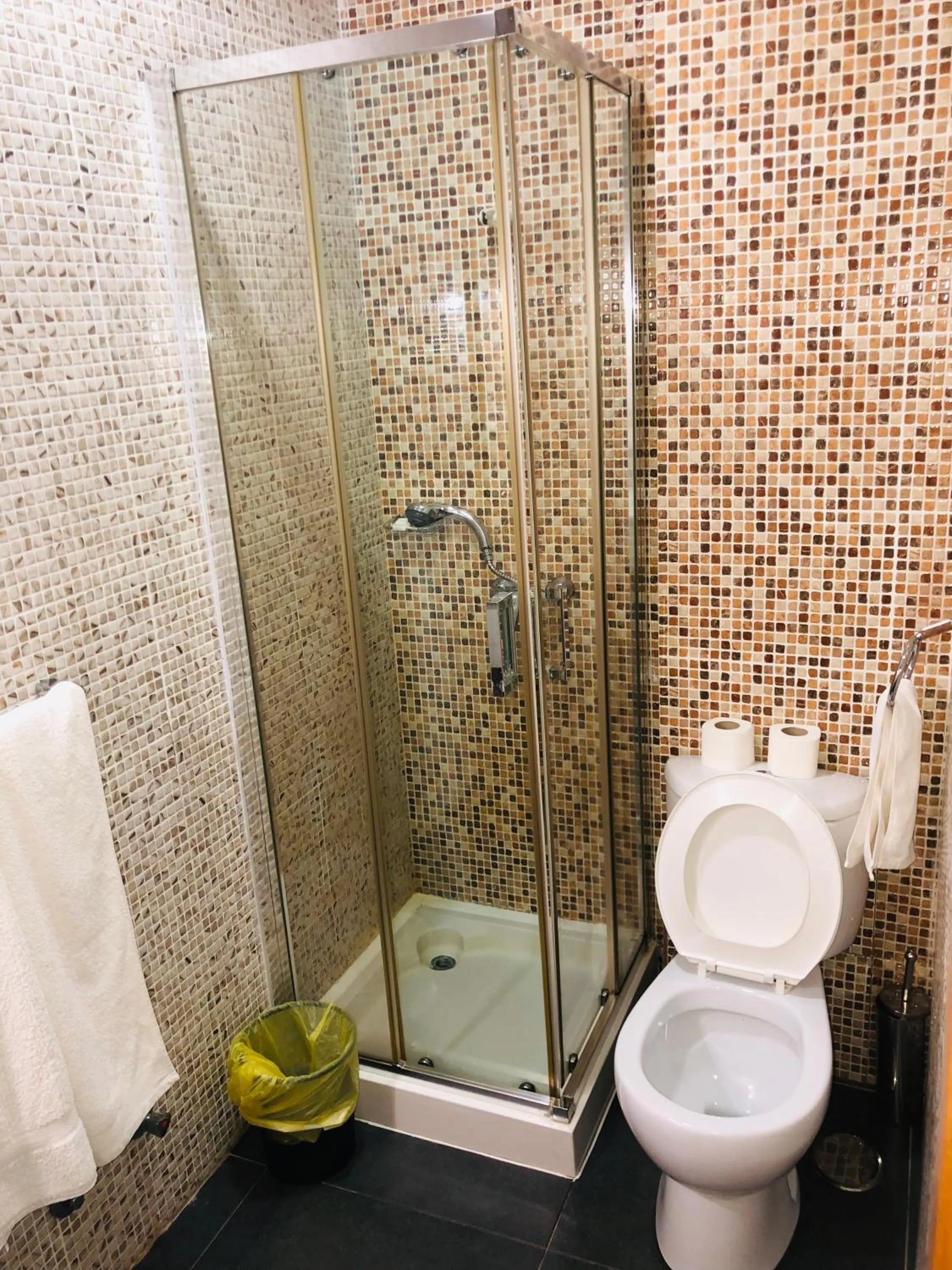 Shower in Vivi Hotel