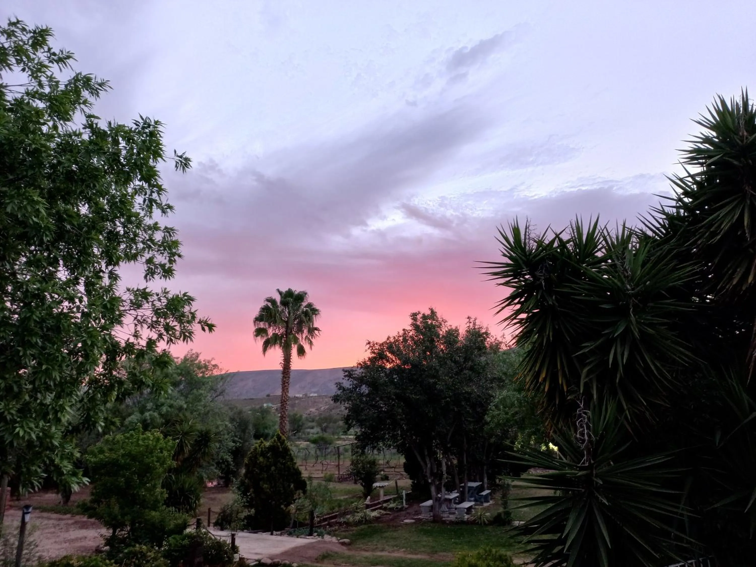 Mountain view in Karoo Life B&B