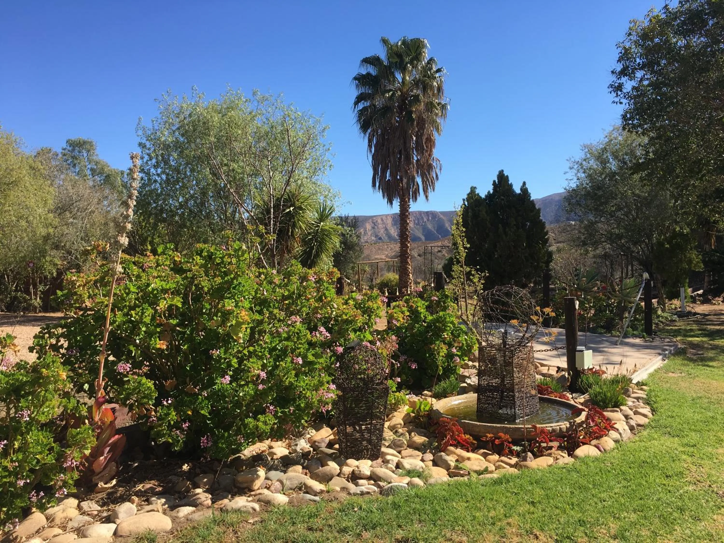 Garden view in Karoo Life B&B