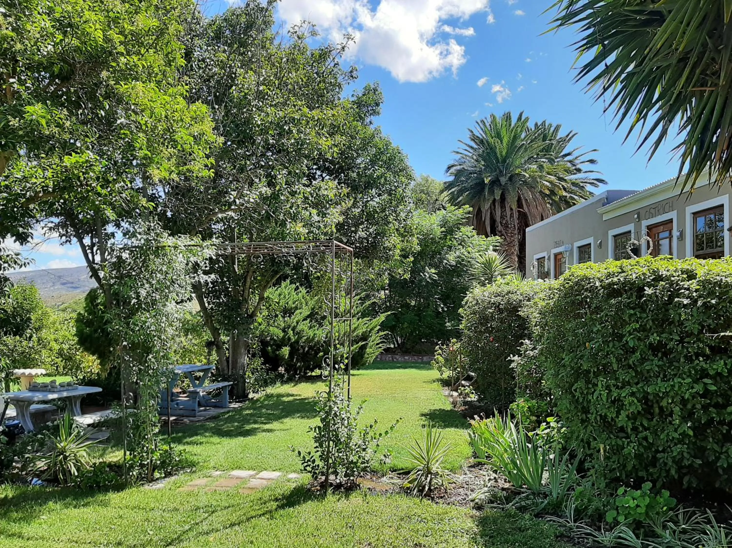 Garden view in Karoo Life B&B