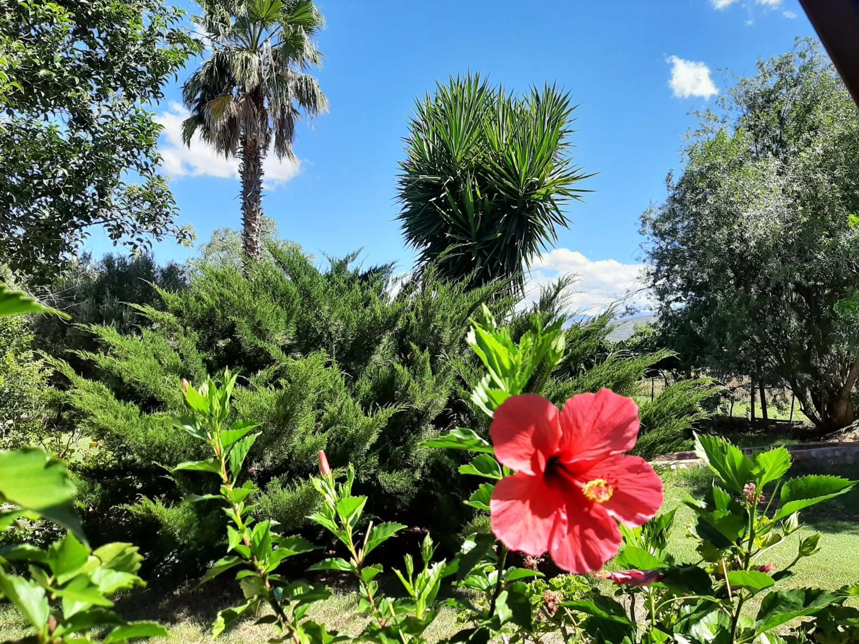 Garden in Karoo Life B&B