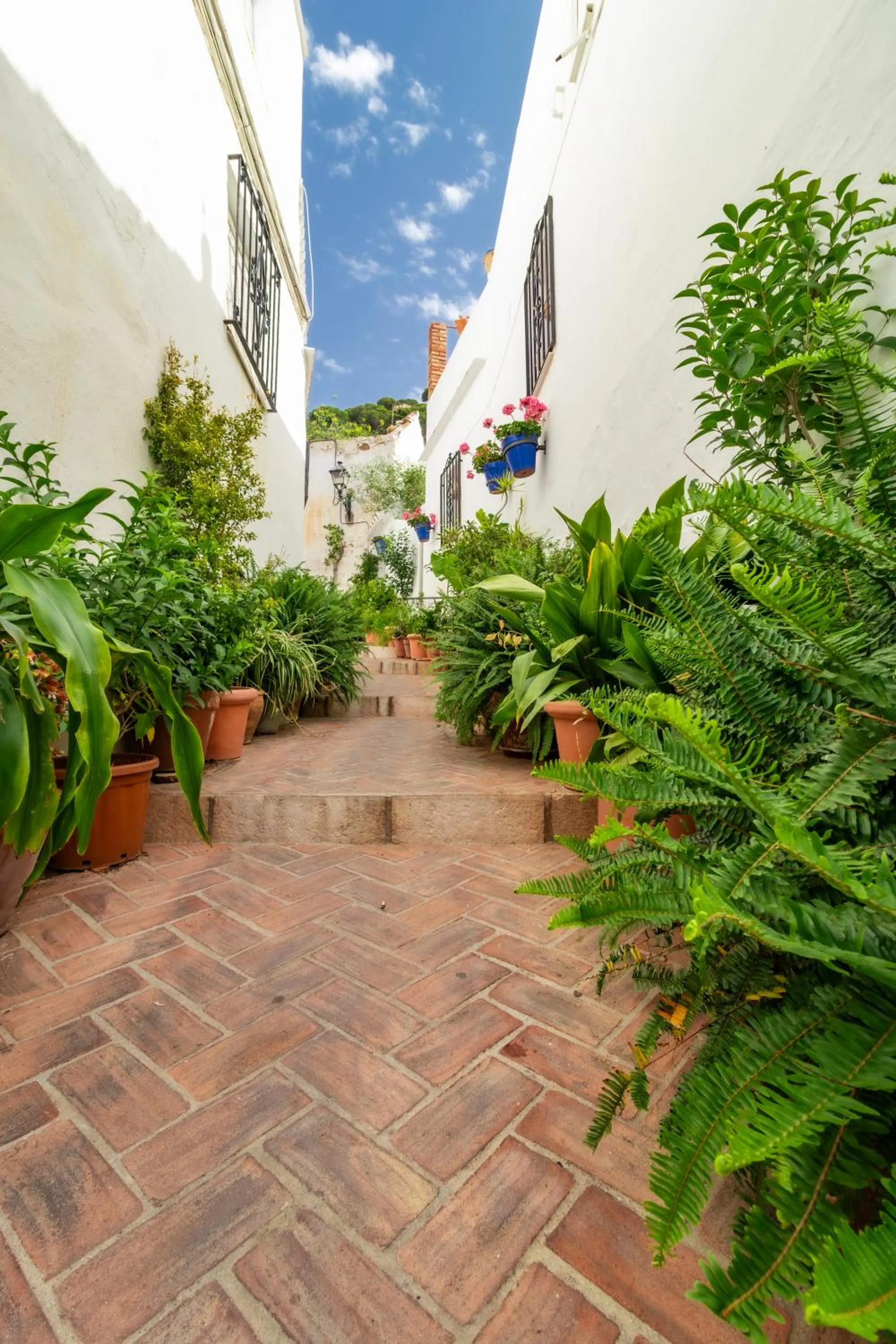 Other in La Casa de la Iglesia