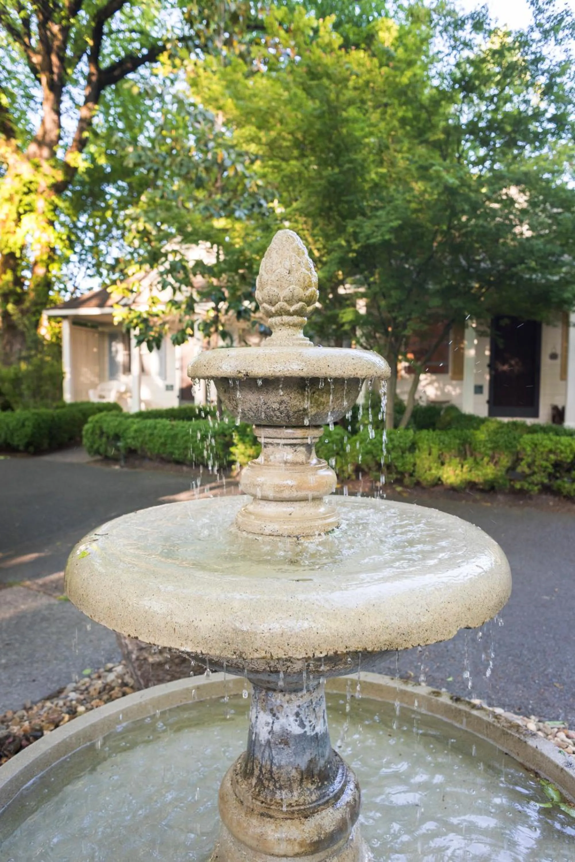 Area and facilities in Cottage Grove Inn