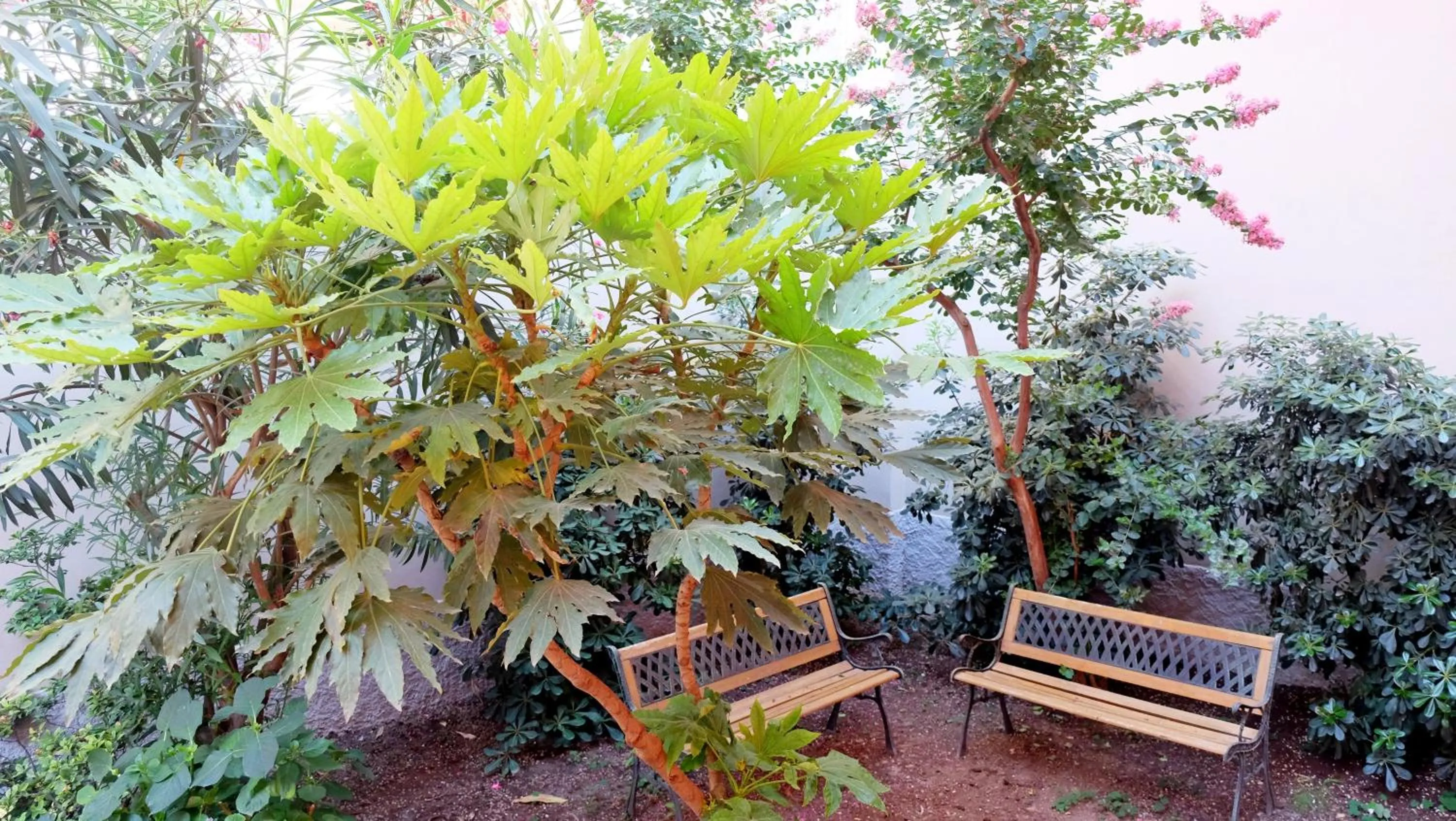 Patio in B&B I 10 mondi