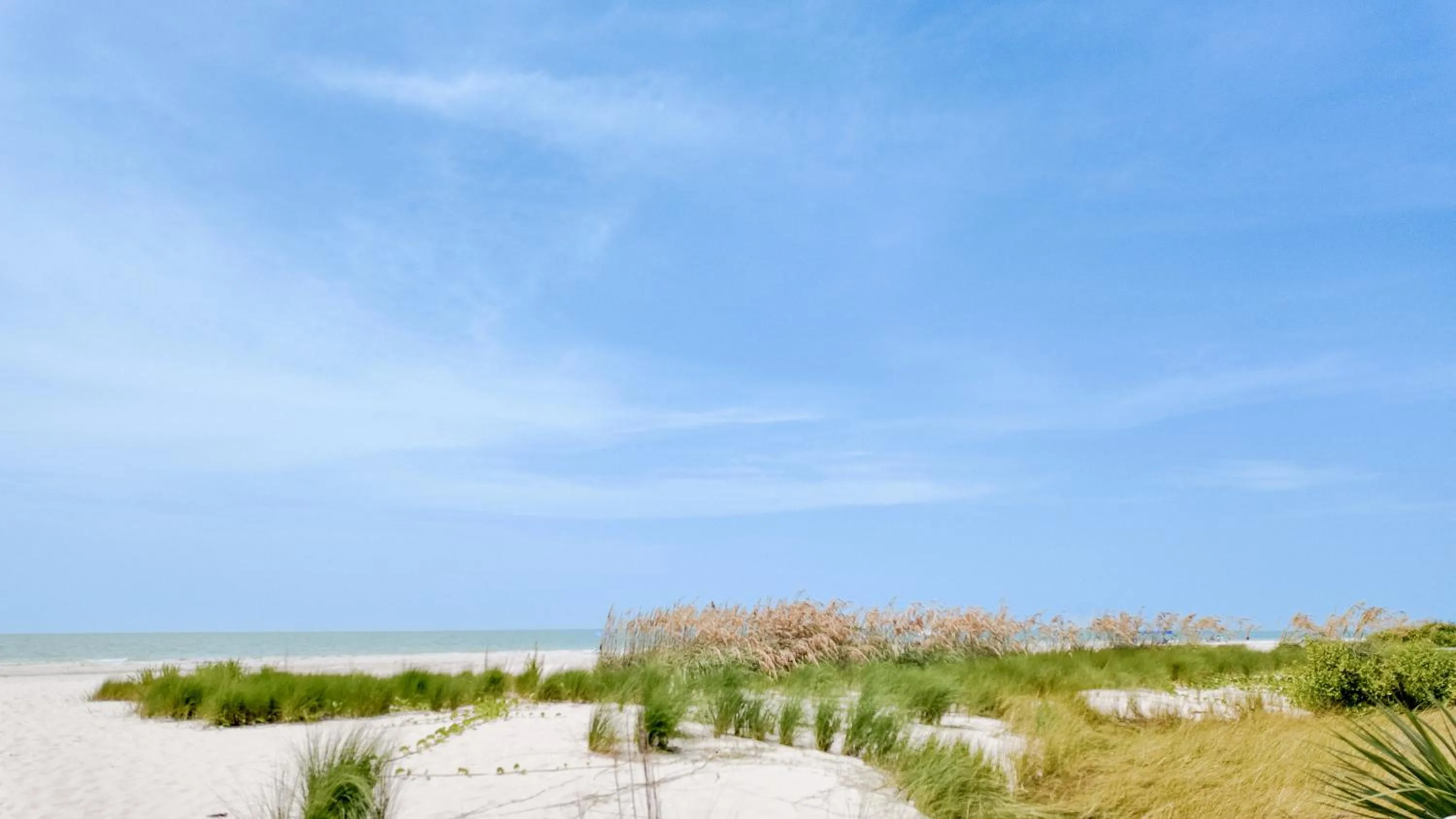 Natural landscape in Sanibel Siesta on the Beach
