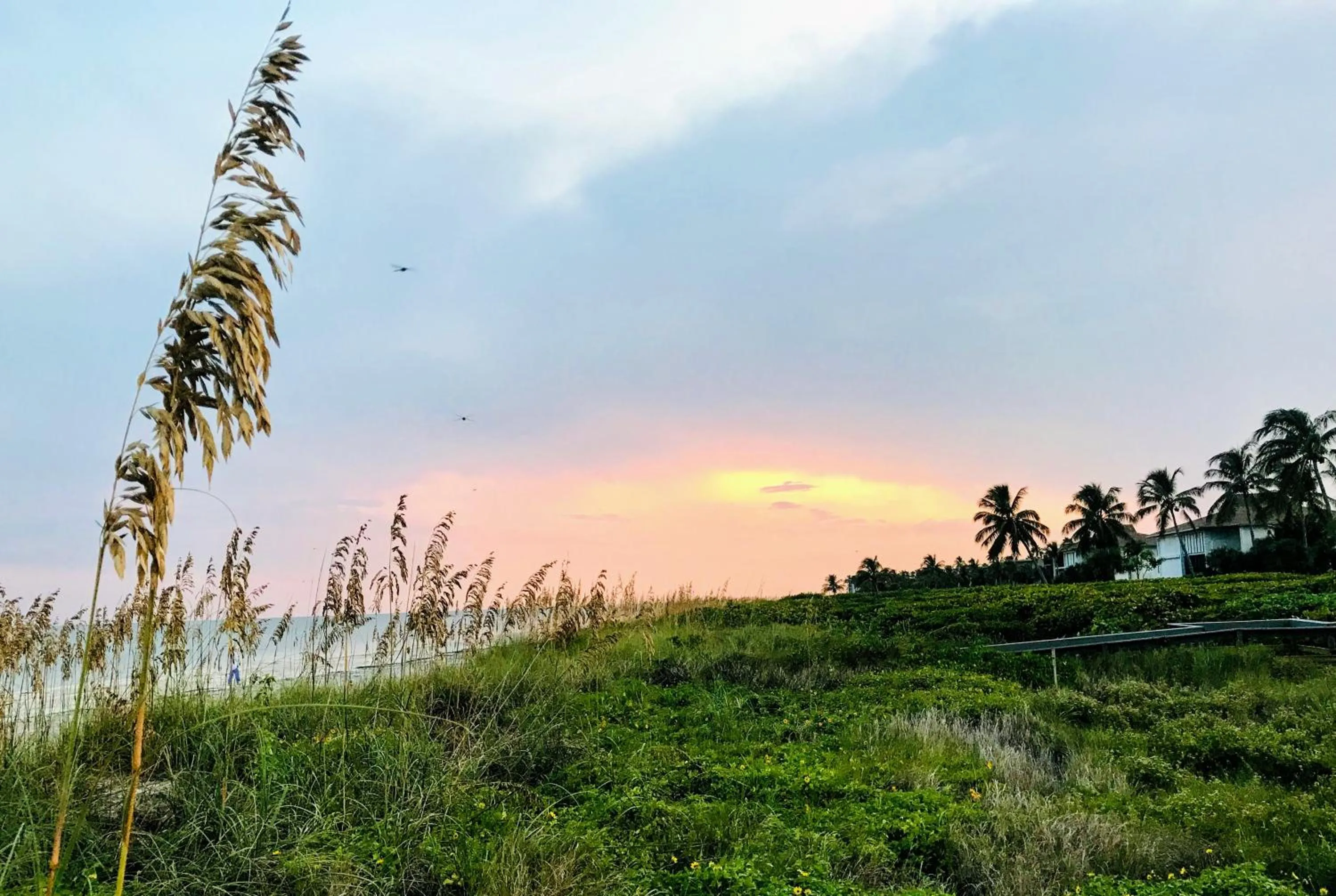 Natural landscape in Sanibel Siesta on the Beach