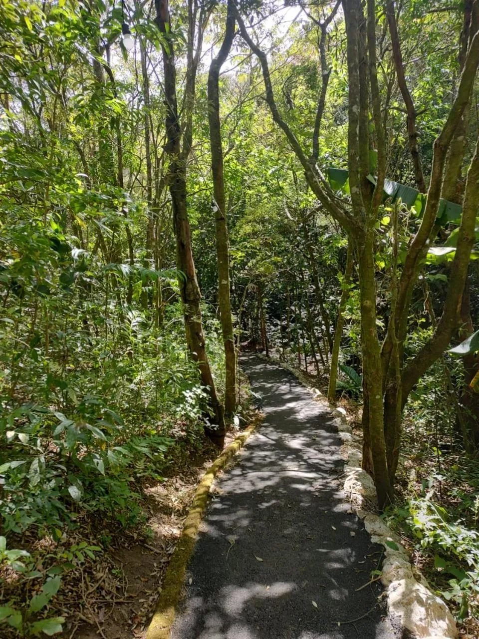 Hiking in Belcruz family lodge