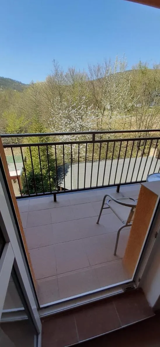 Balcony/Terrace in Hotel Felicia