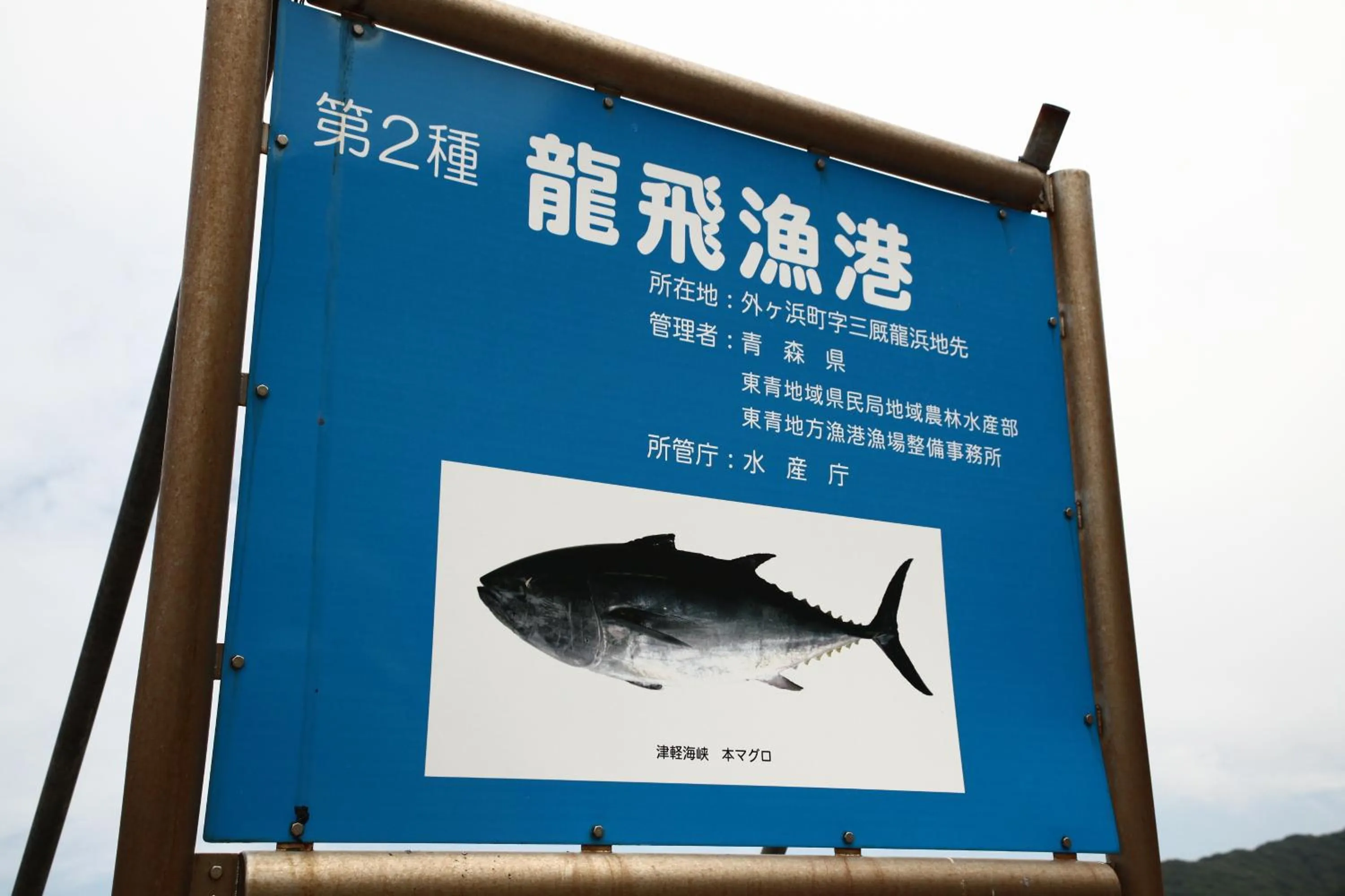 Logo/Certificate/Sign in Hotel Tappi