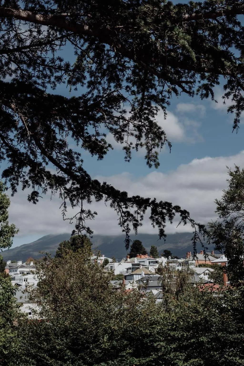 Natural landscape in Grande Vue Hotel