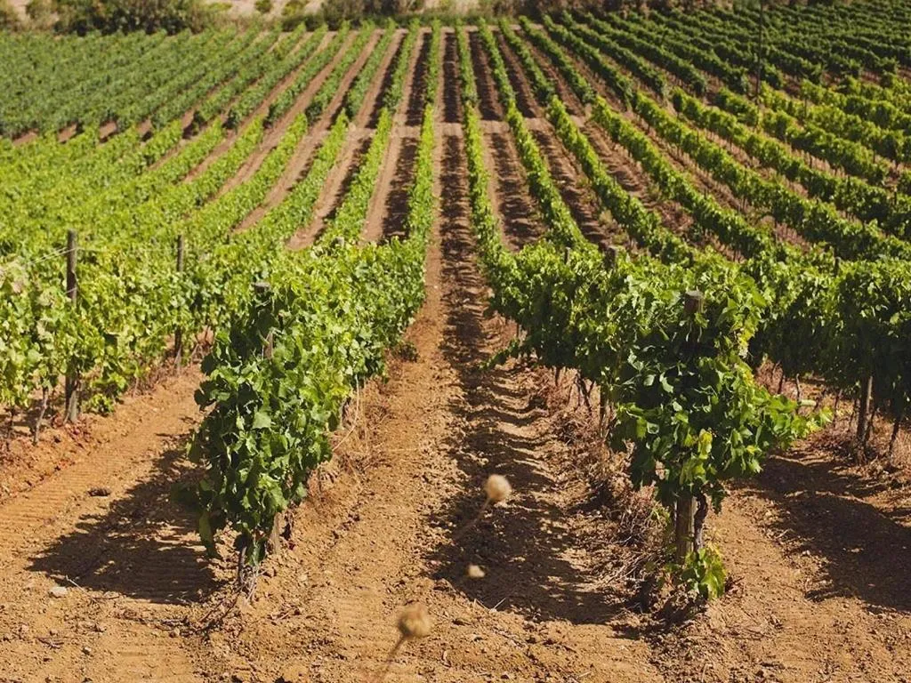 Day in Baglio Caruana Cantina & Relais