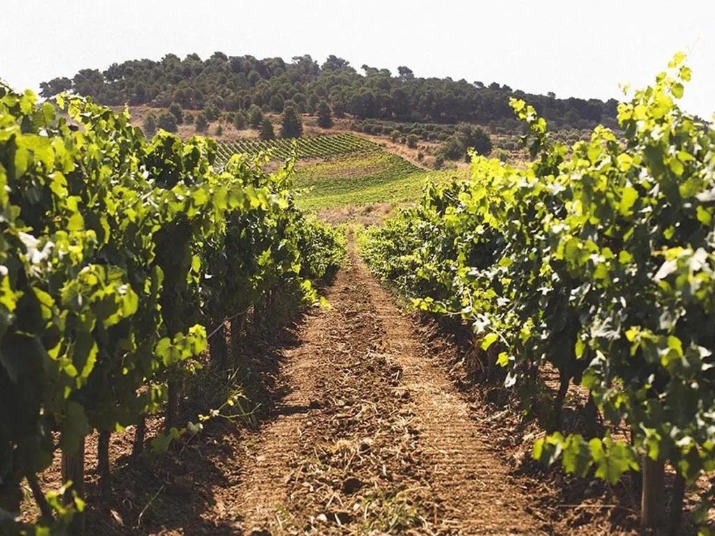 Day in Baglio Caruana Cantina & Relais