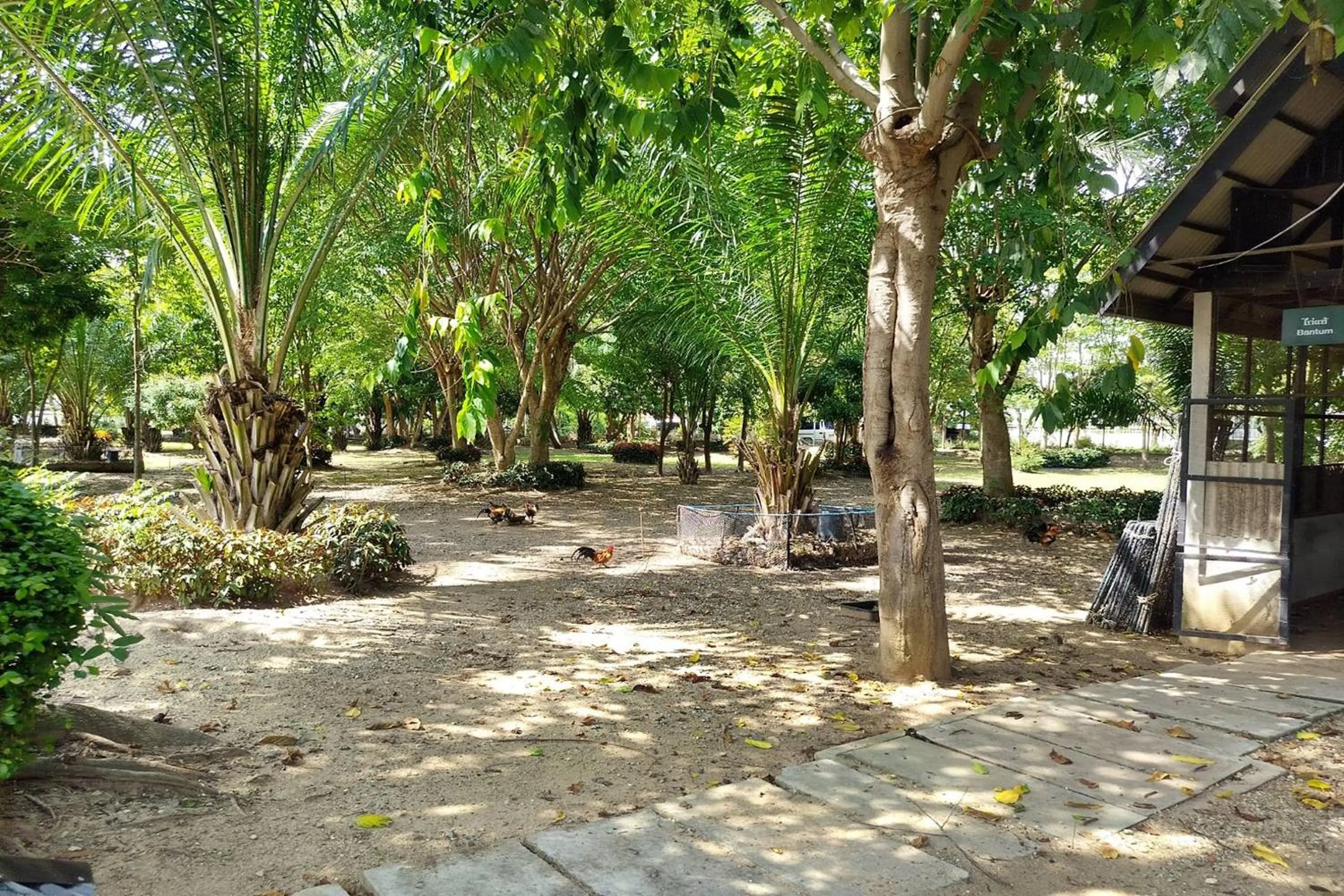 Garden view in Baan Orawee Boutique Hotel