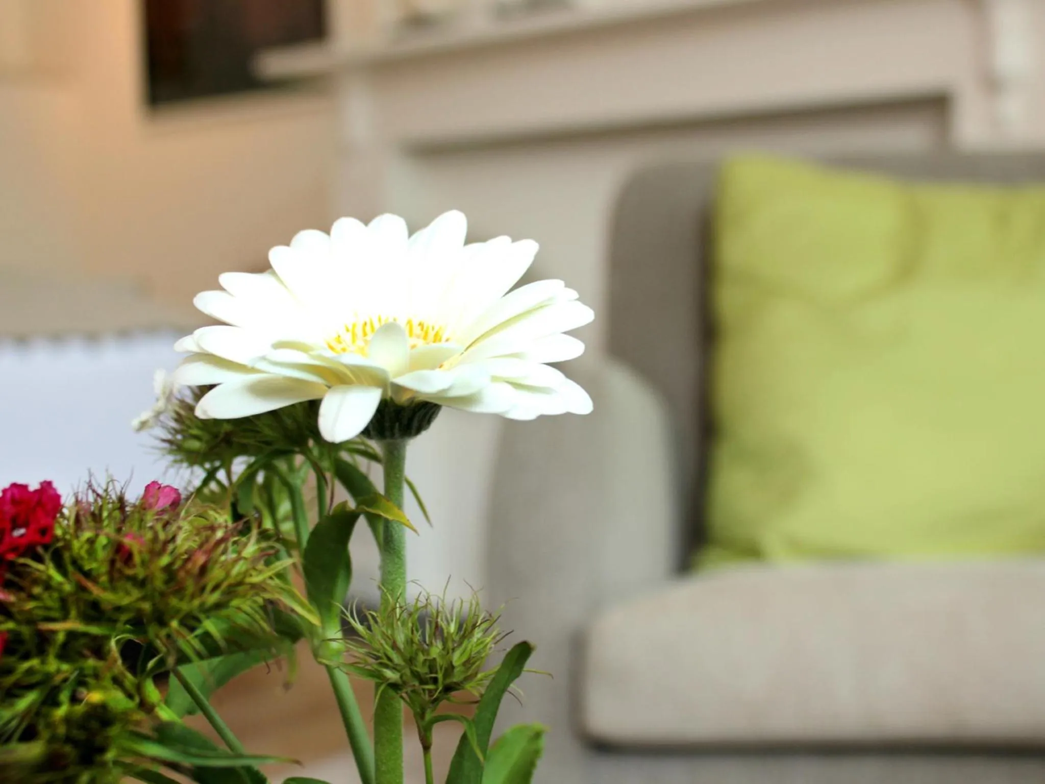 Decorative detail in B&B Alphabet - Luxury Guesthouse and Art Gallery