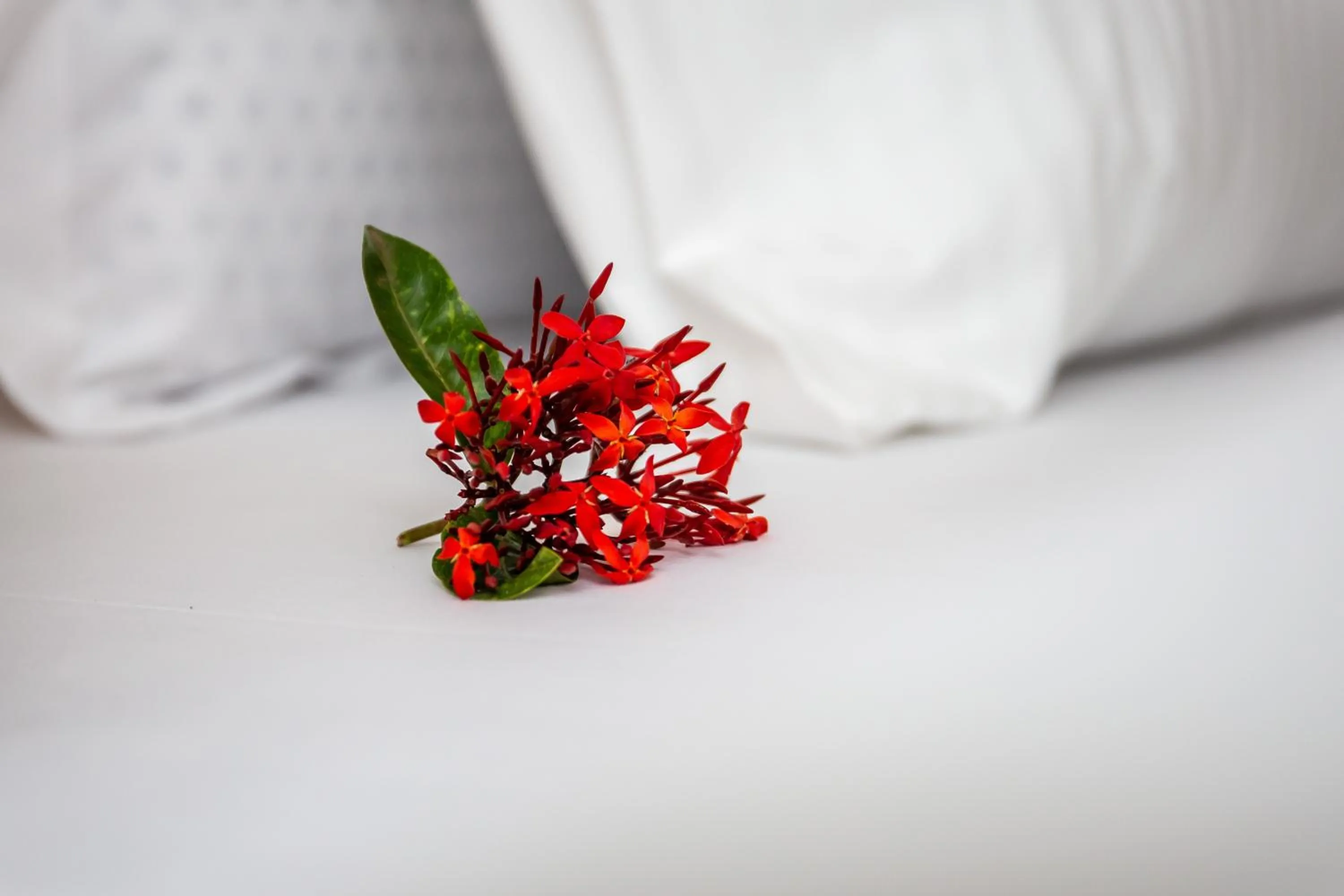 Decorative detail, Bed in Eagle View Golf