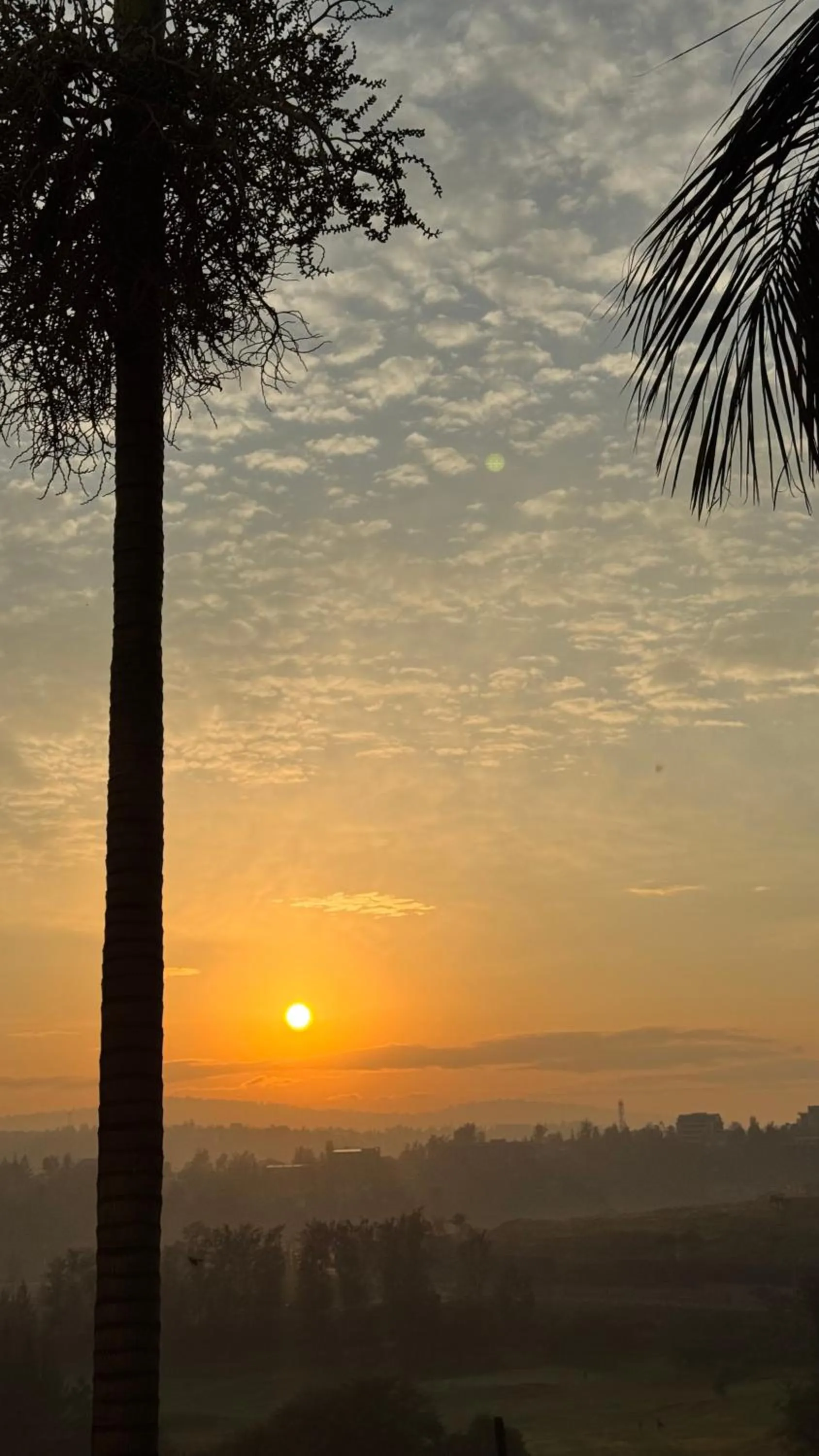 Garden view in Eagle View Golf