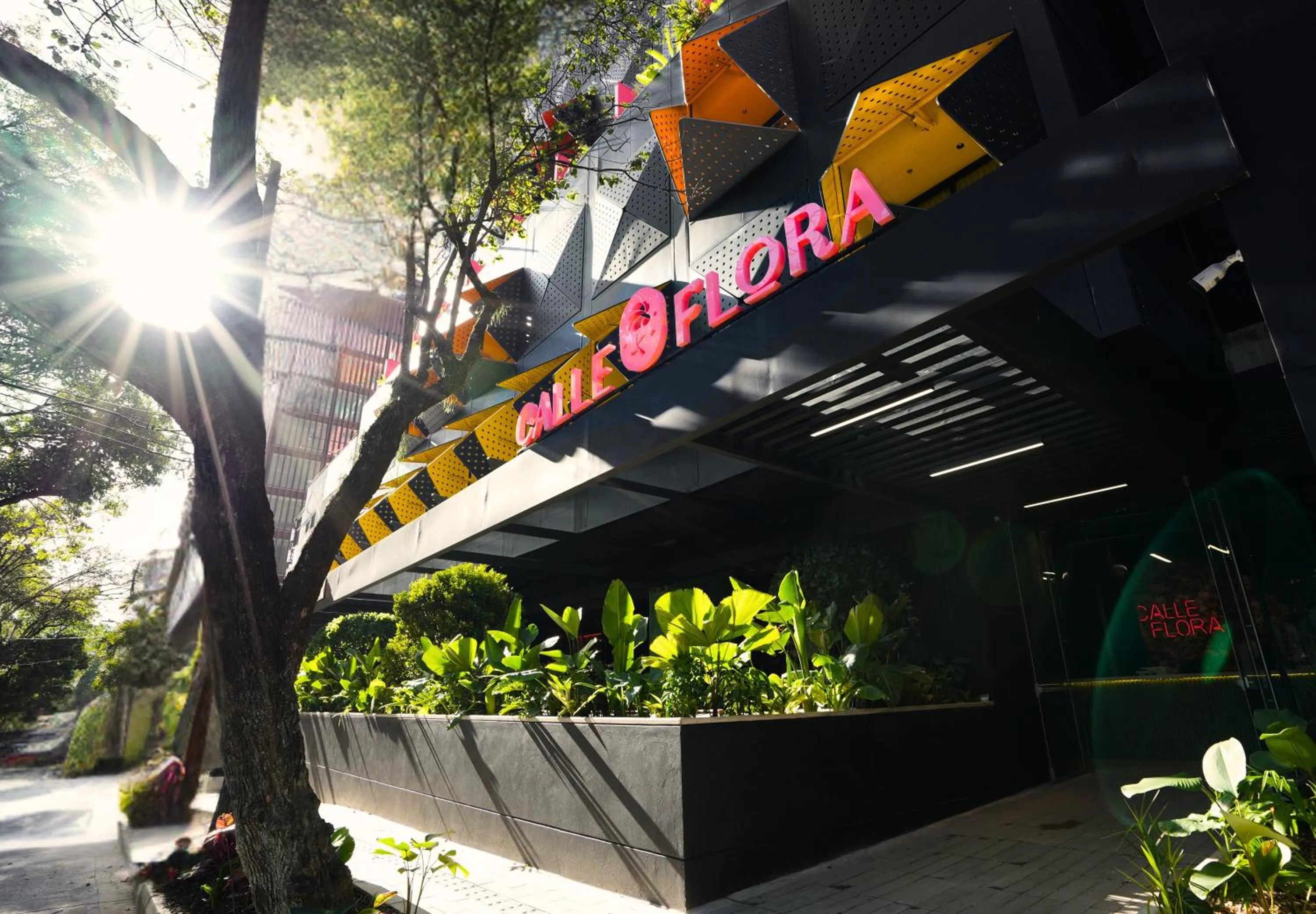 Property building in Calle Flora Hotel by Jalo