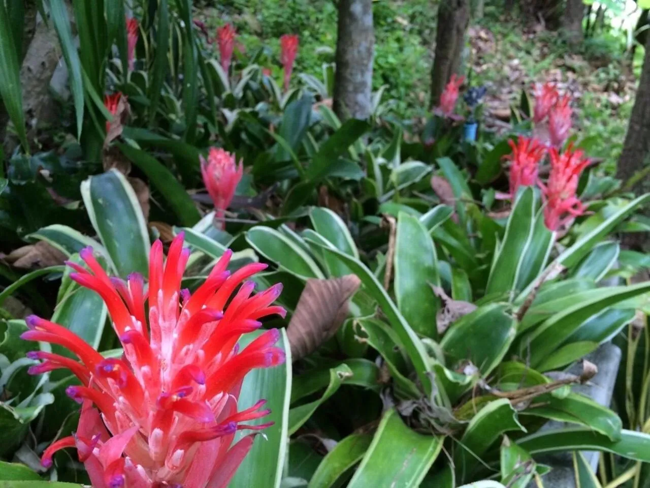 Other in Phu Pha Nam Resort