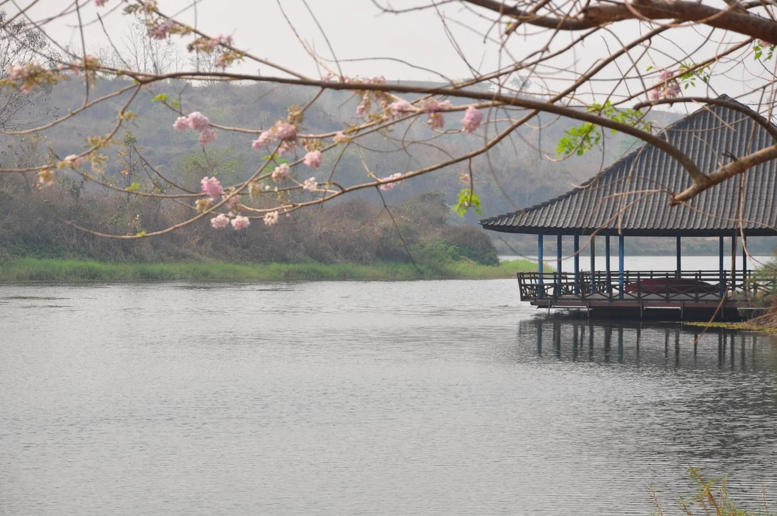 Natural landscape in Phu Pha Nam Resort