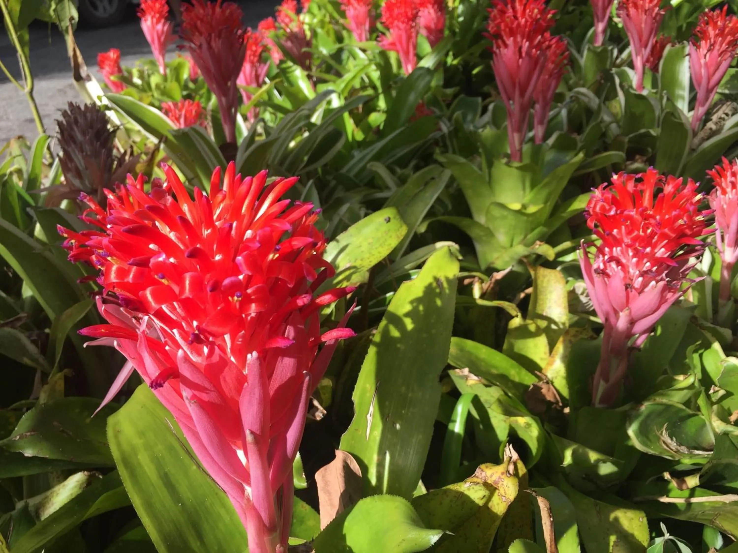 Other in Phu Pha Nam Resort