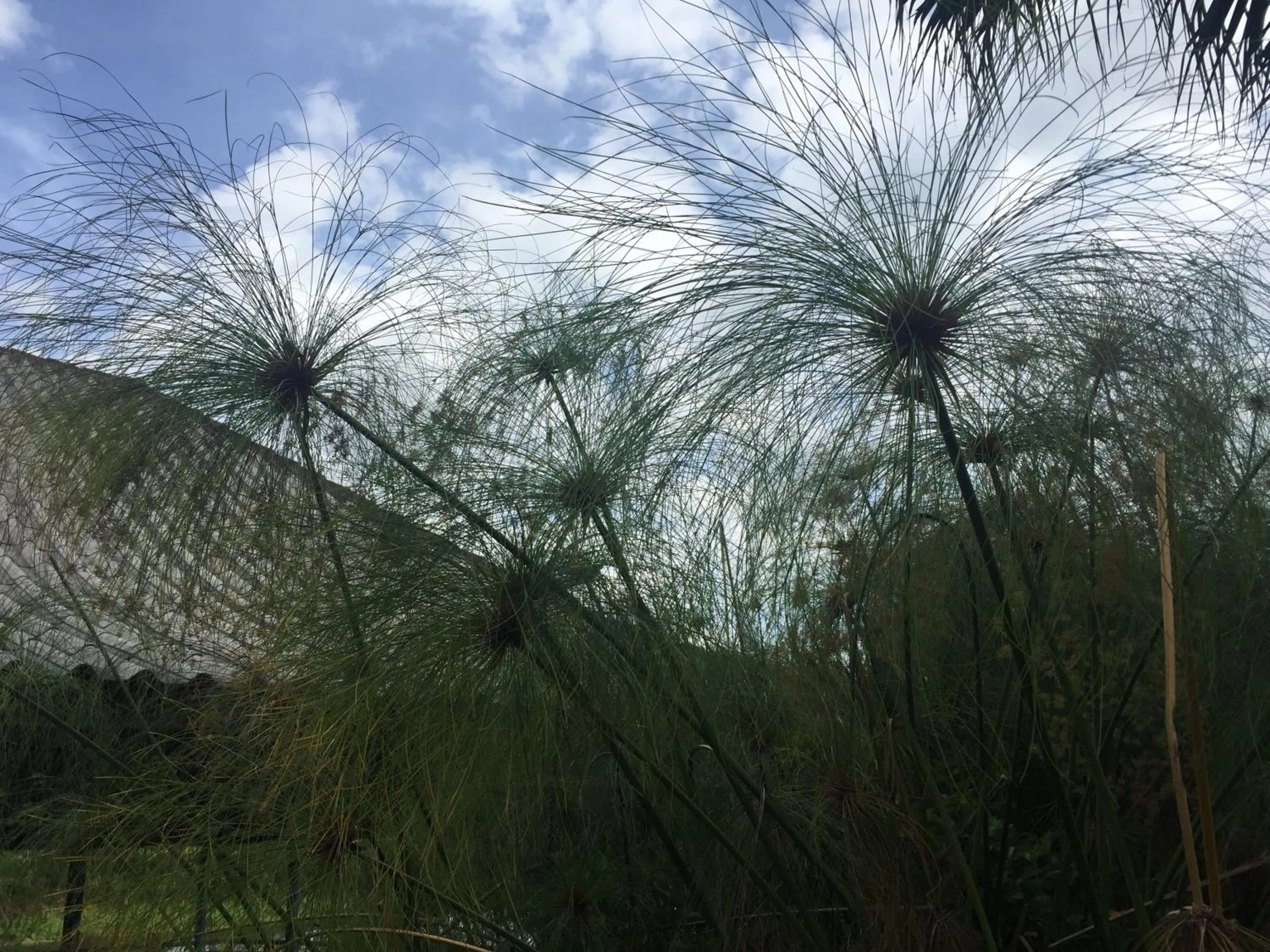 Day in Phu Pha Nam Resort