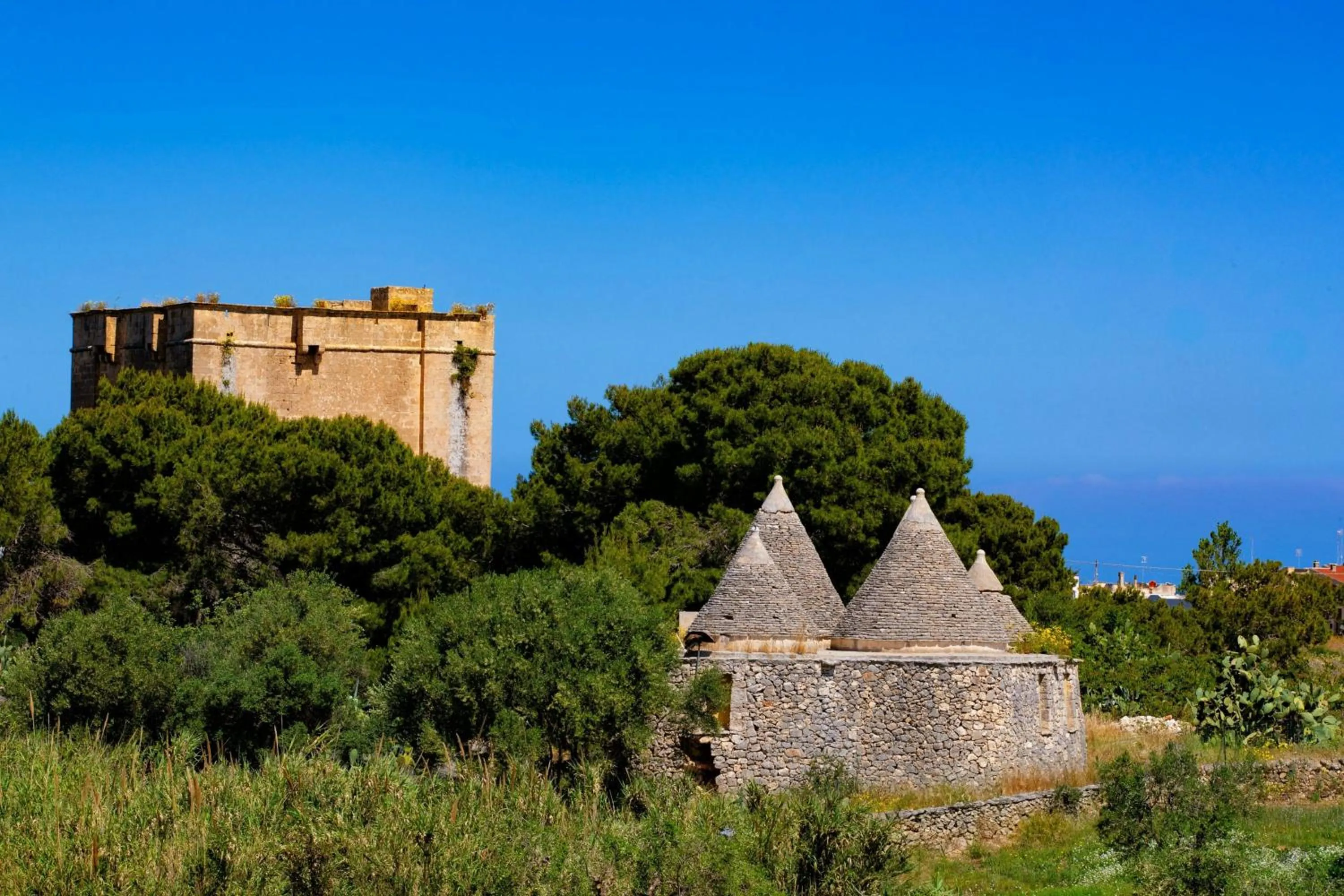 View (from property/room) in Cala Ponte, a Tribute Portfolio Hotel