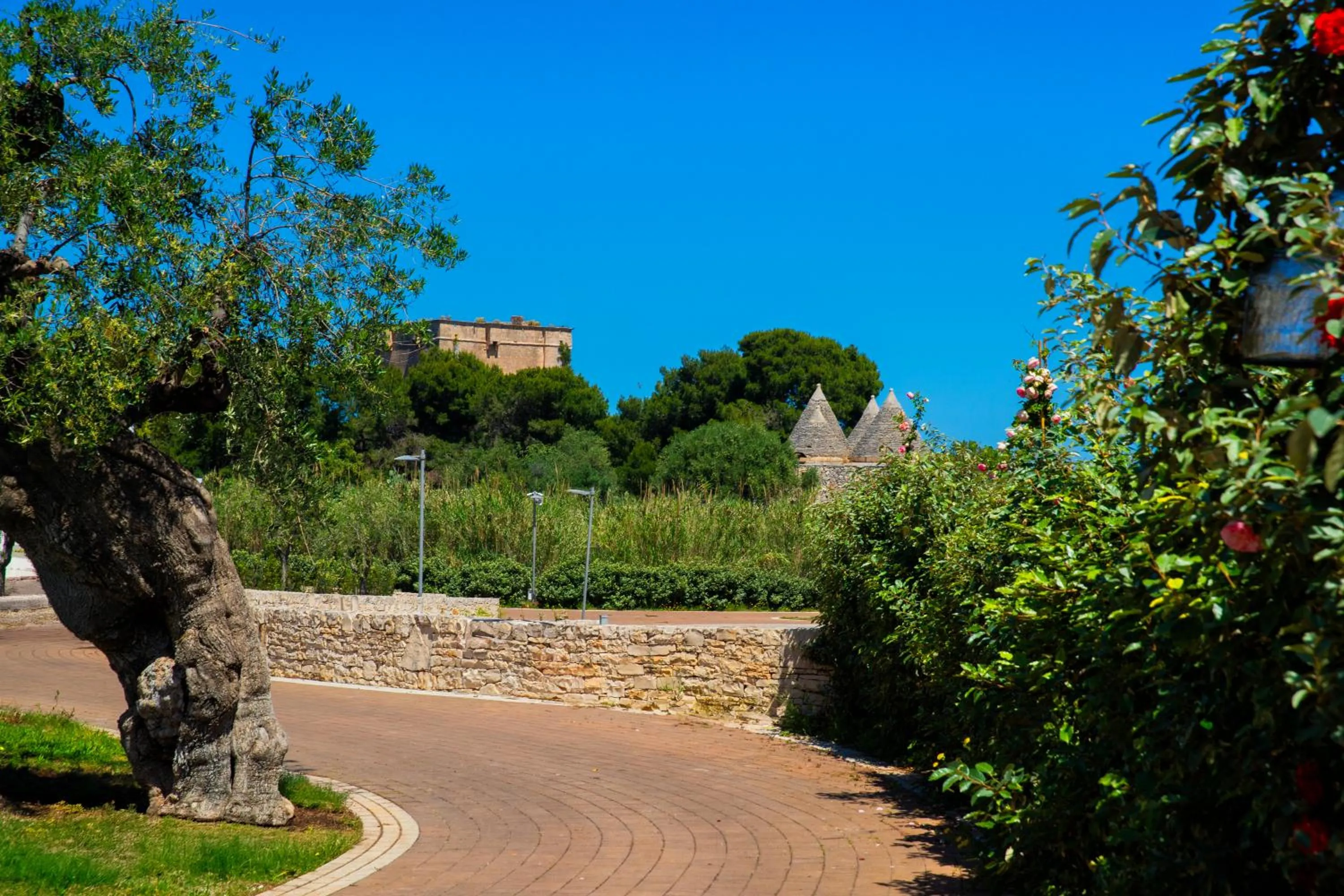 View (from property/room) in Cala Ponte, a Tribute Portfolio Hotel