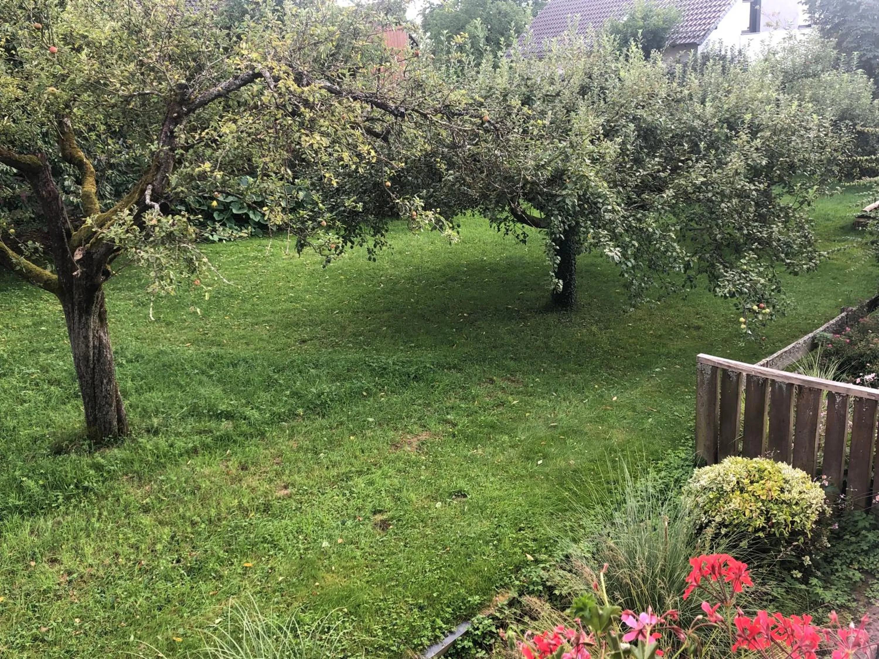 View (from property/room) in Landhaus Weber