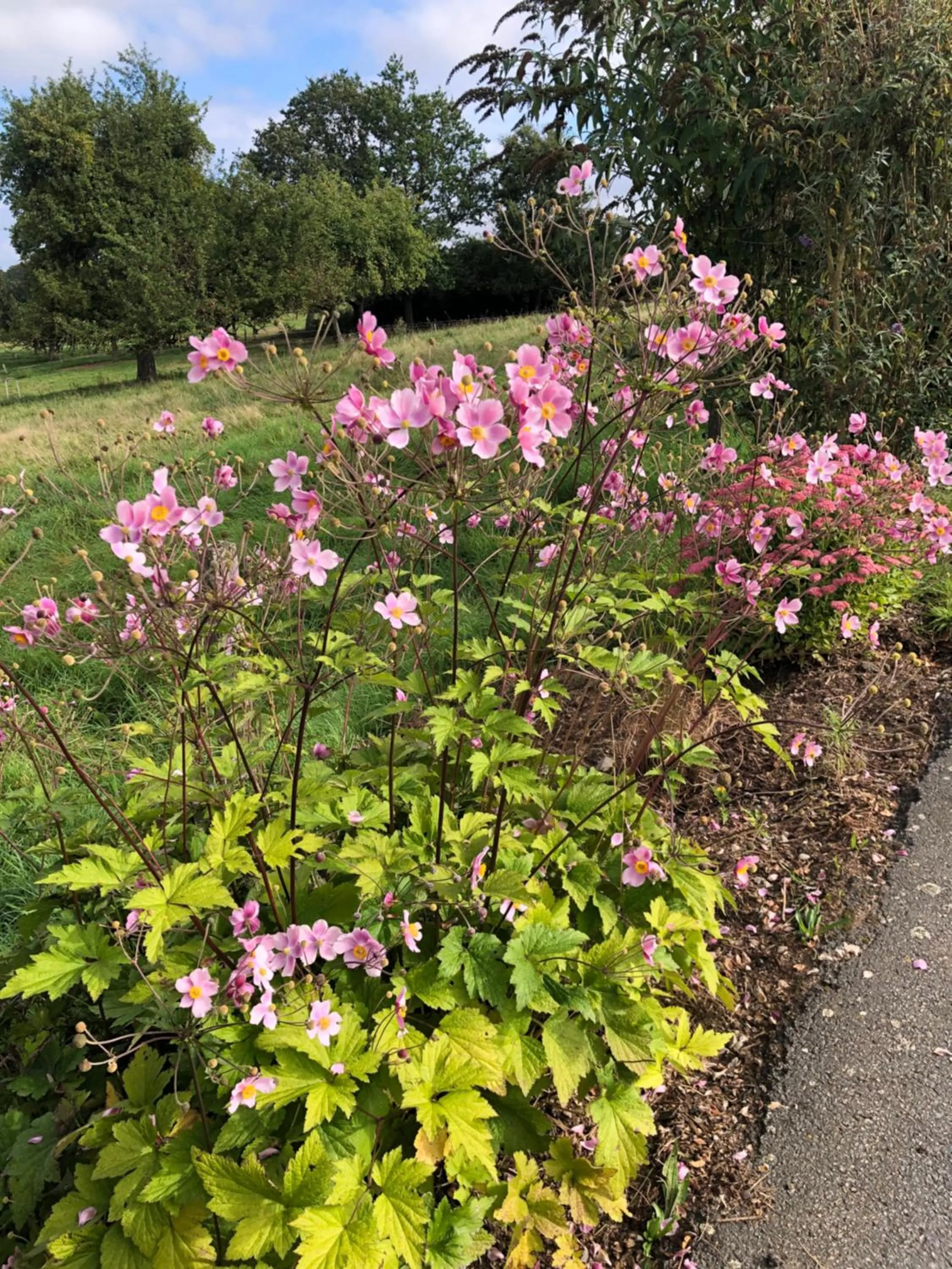 Garden in Landhaus Weber