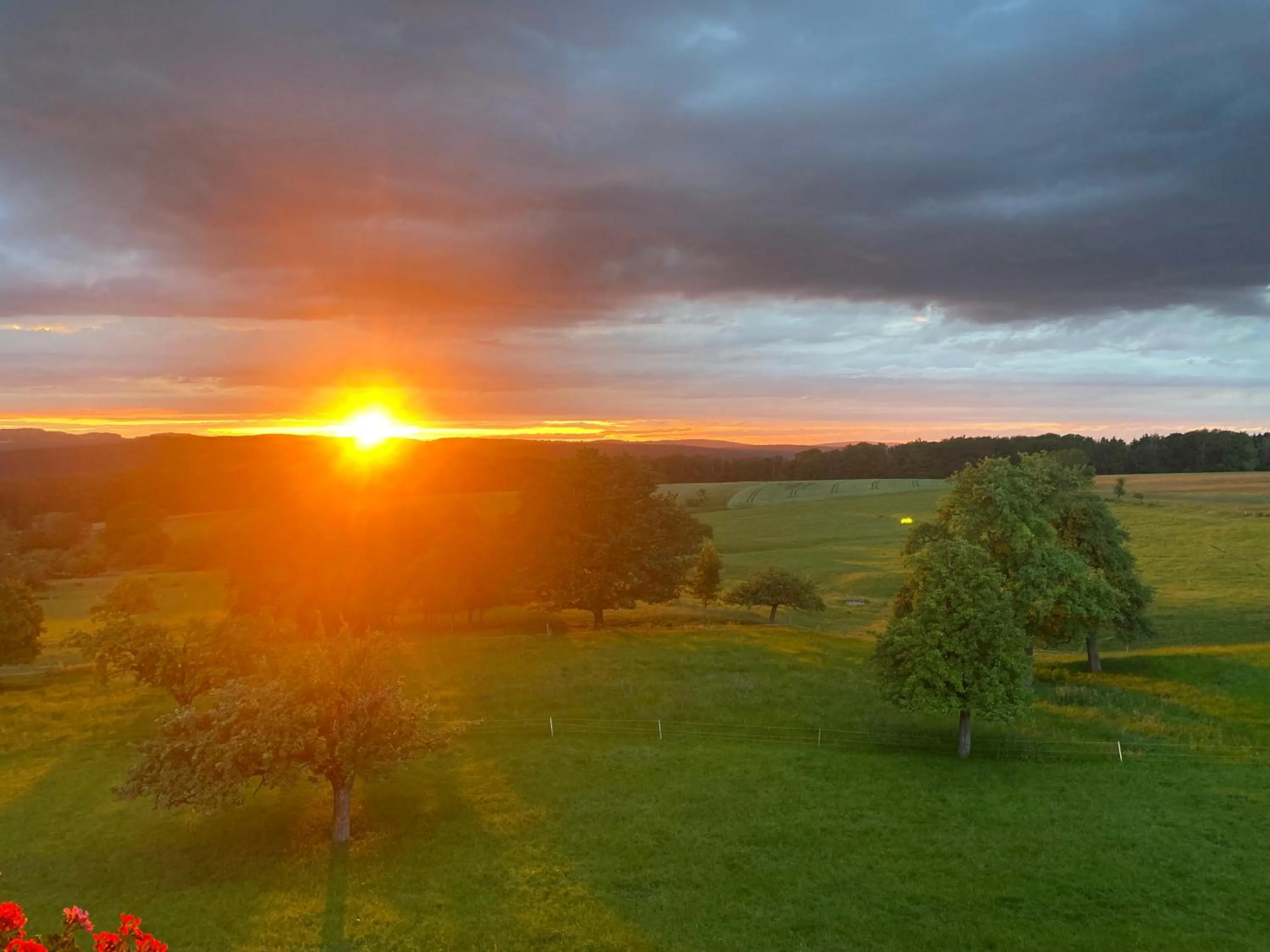 View (from property/room) in Landhaus Weber