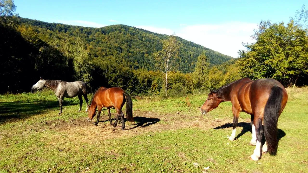 Day in Hotel Klaudia