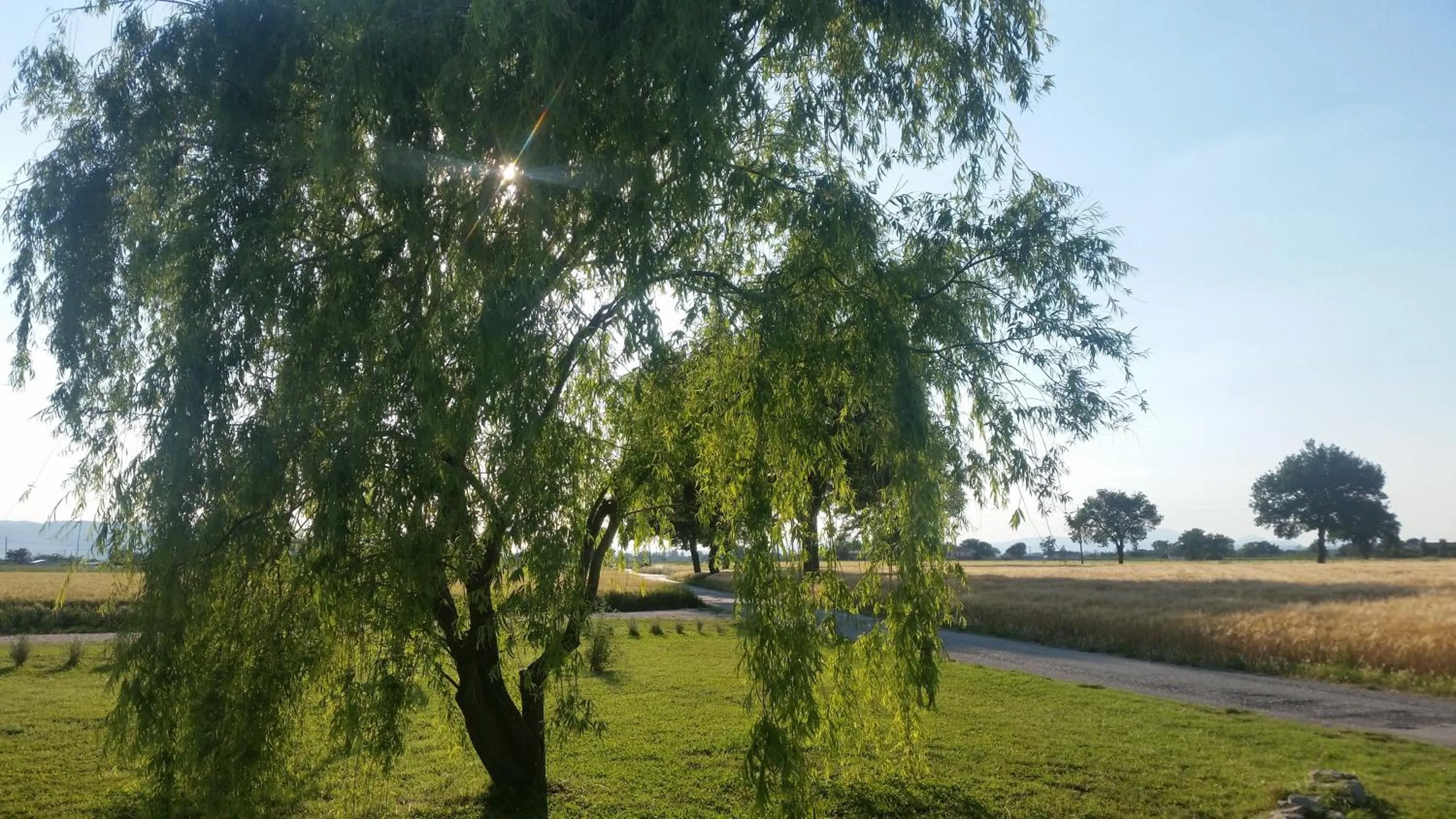 Spring in B&B Le Rose