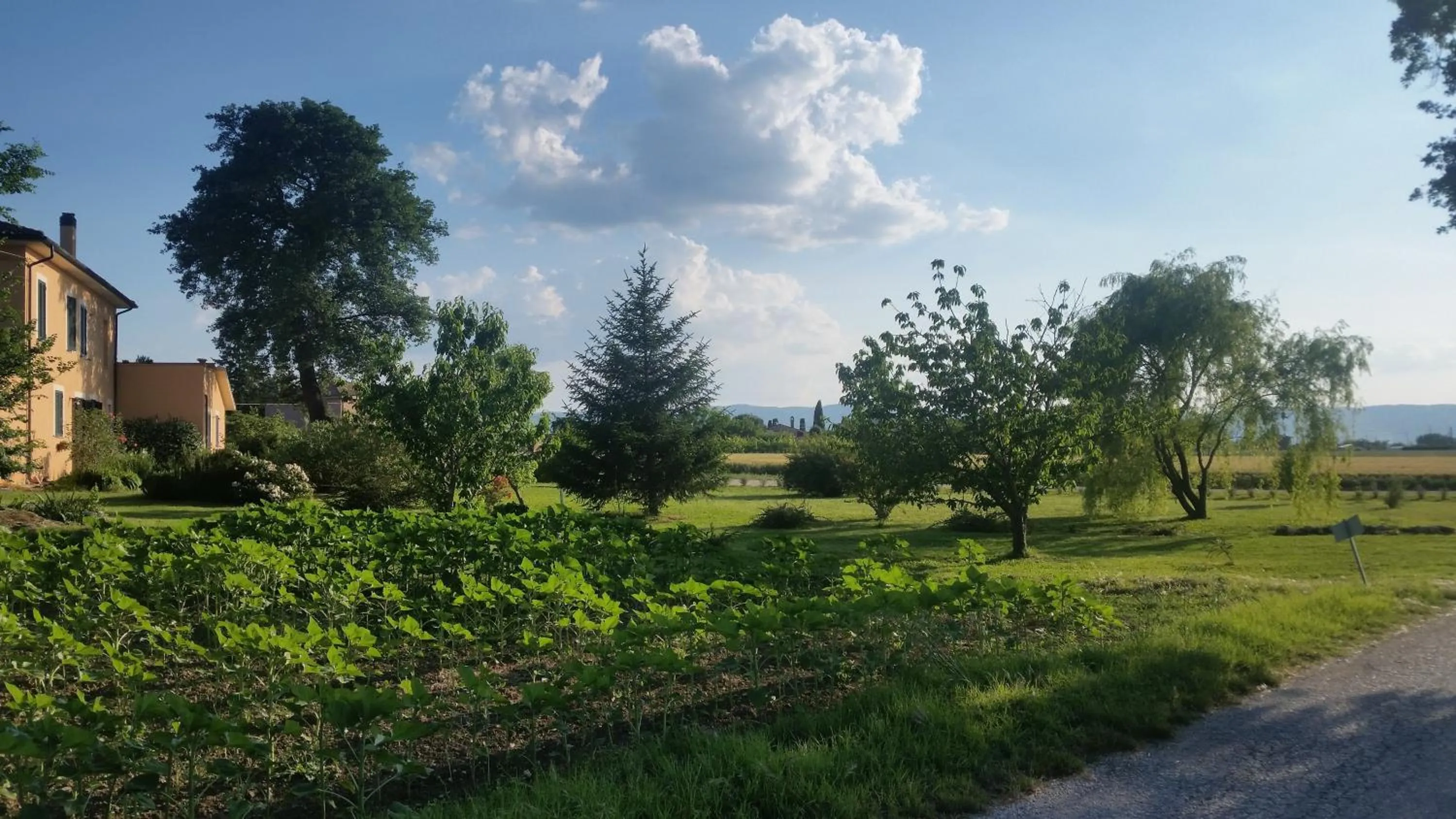 Facade/entrance in B&B Le Rose