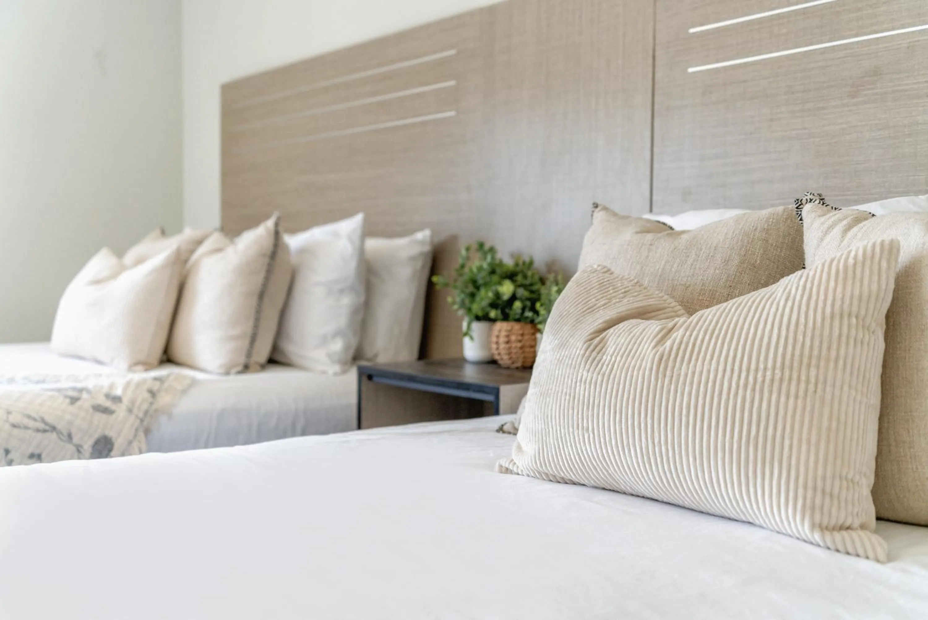 Deluxe Double Room in ERTH INN by AGA- San Ysidro