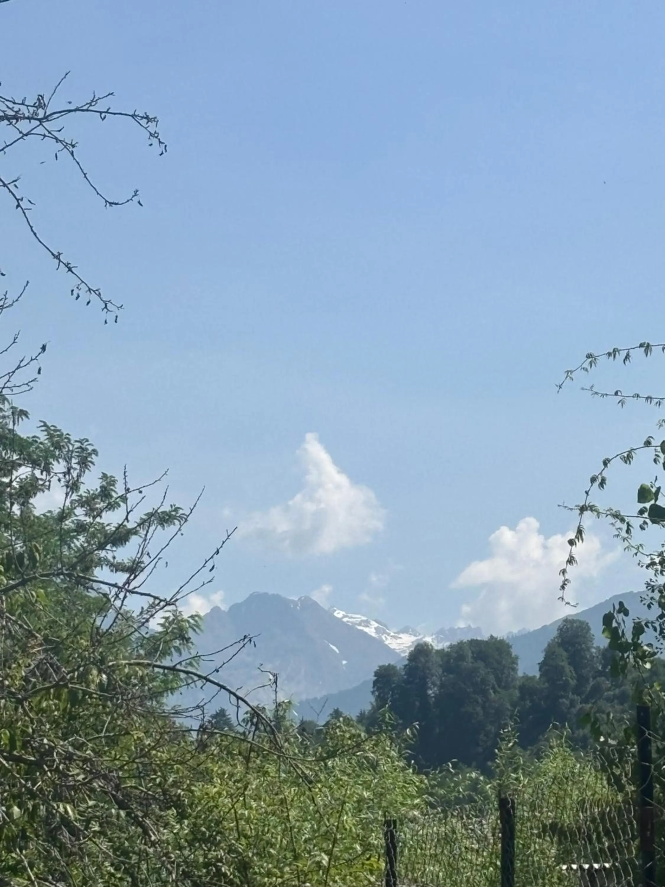 Natural landscape in Luxe Signature