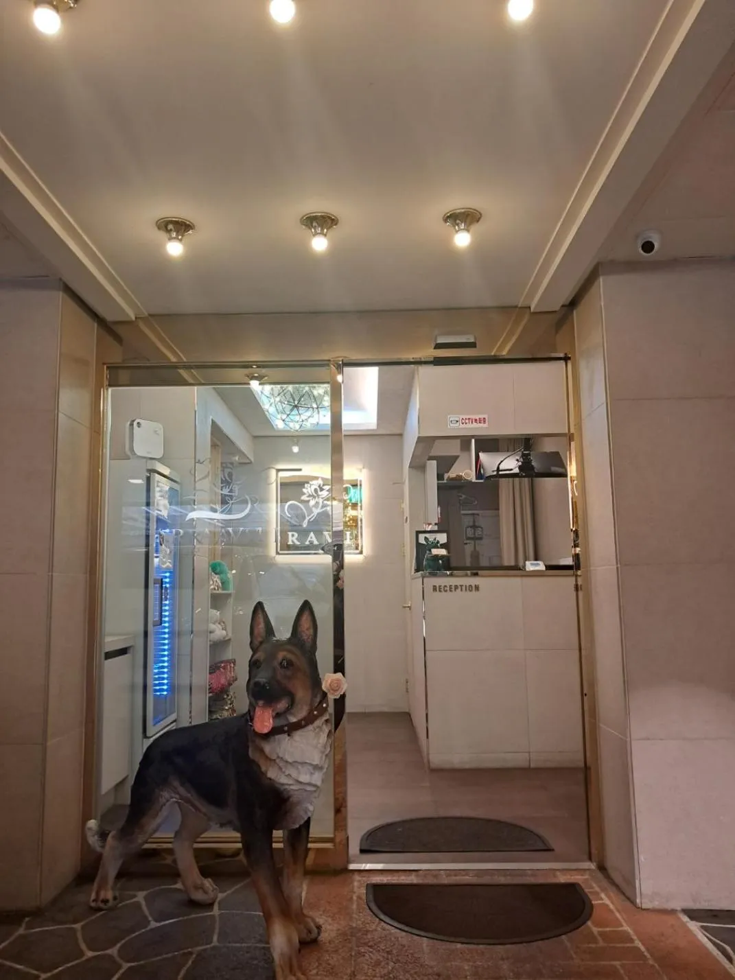 Lobby or reception in Hotel Ravi