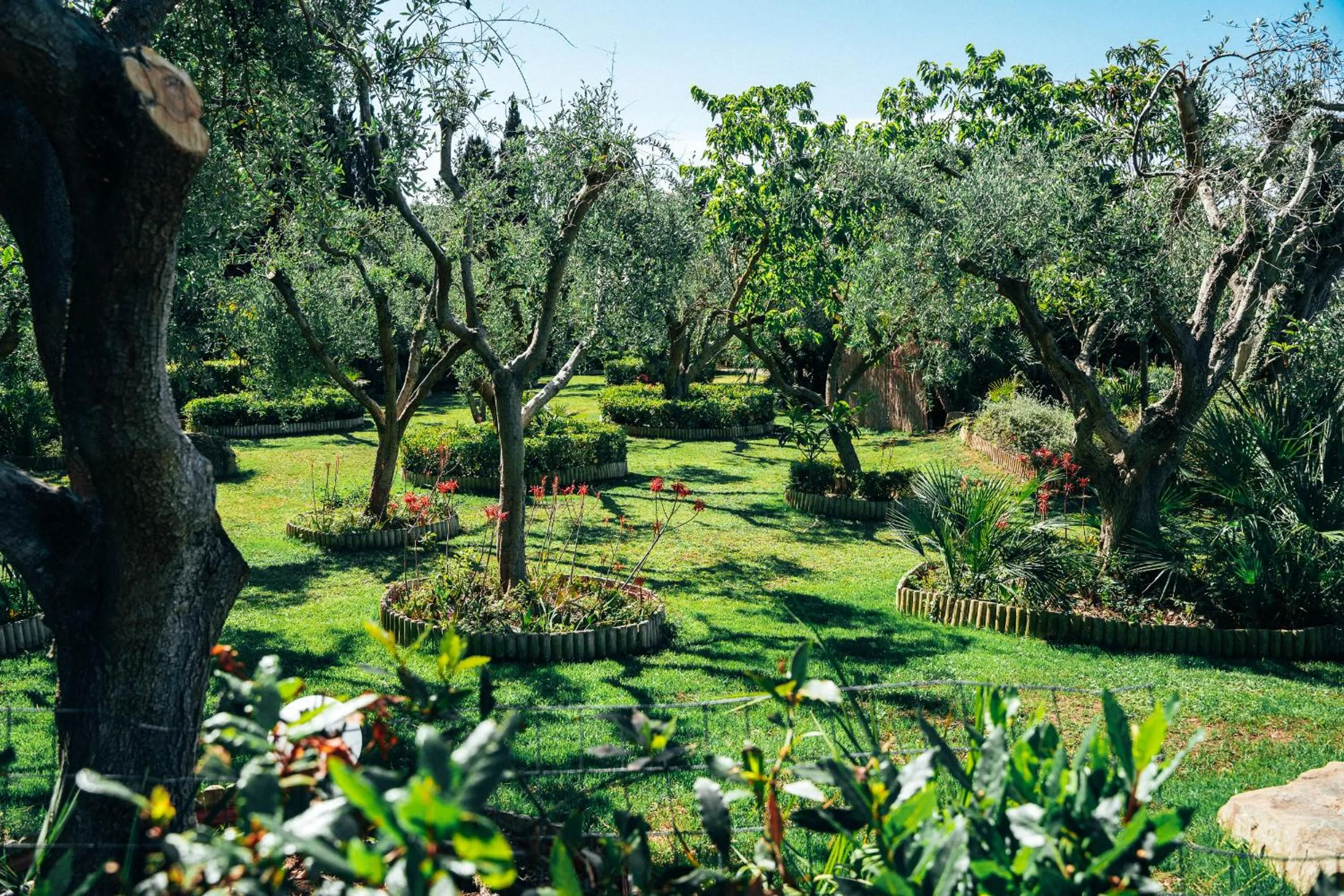 Day in Residence Solemaremma