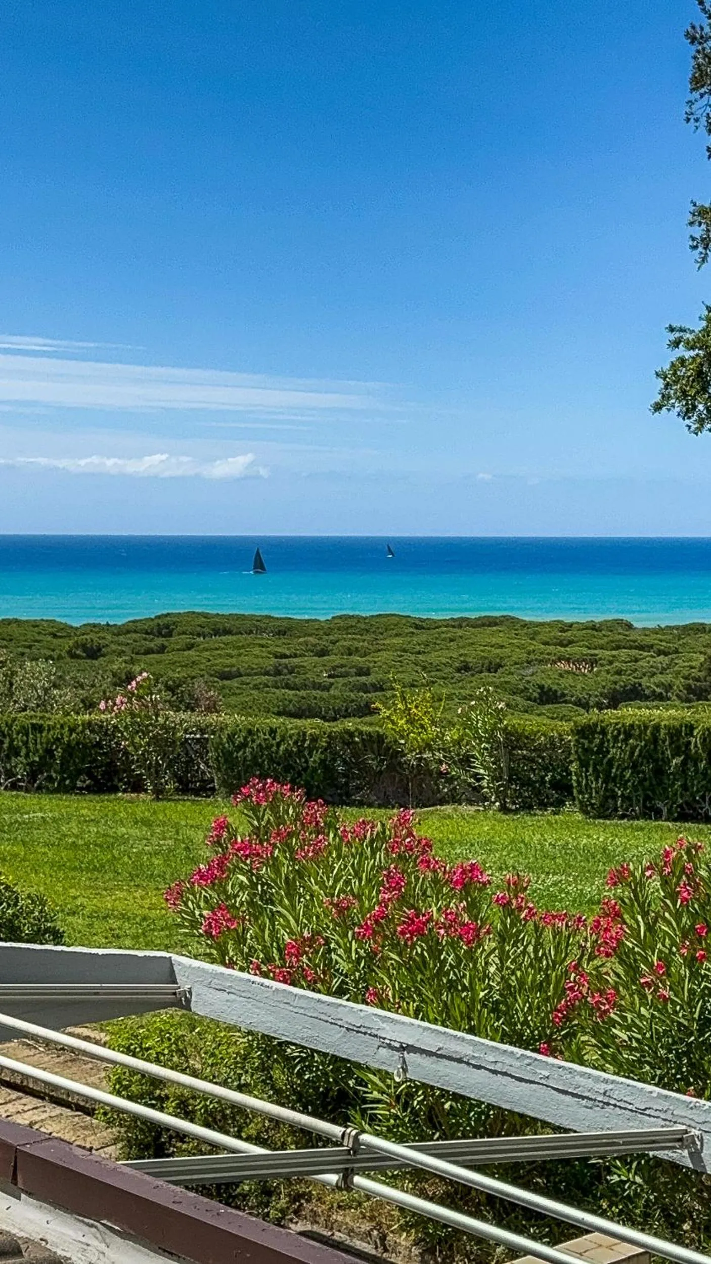 Natural landscape in Residence Solemaremma