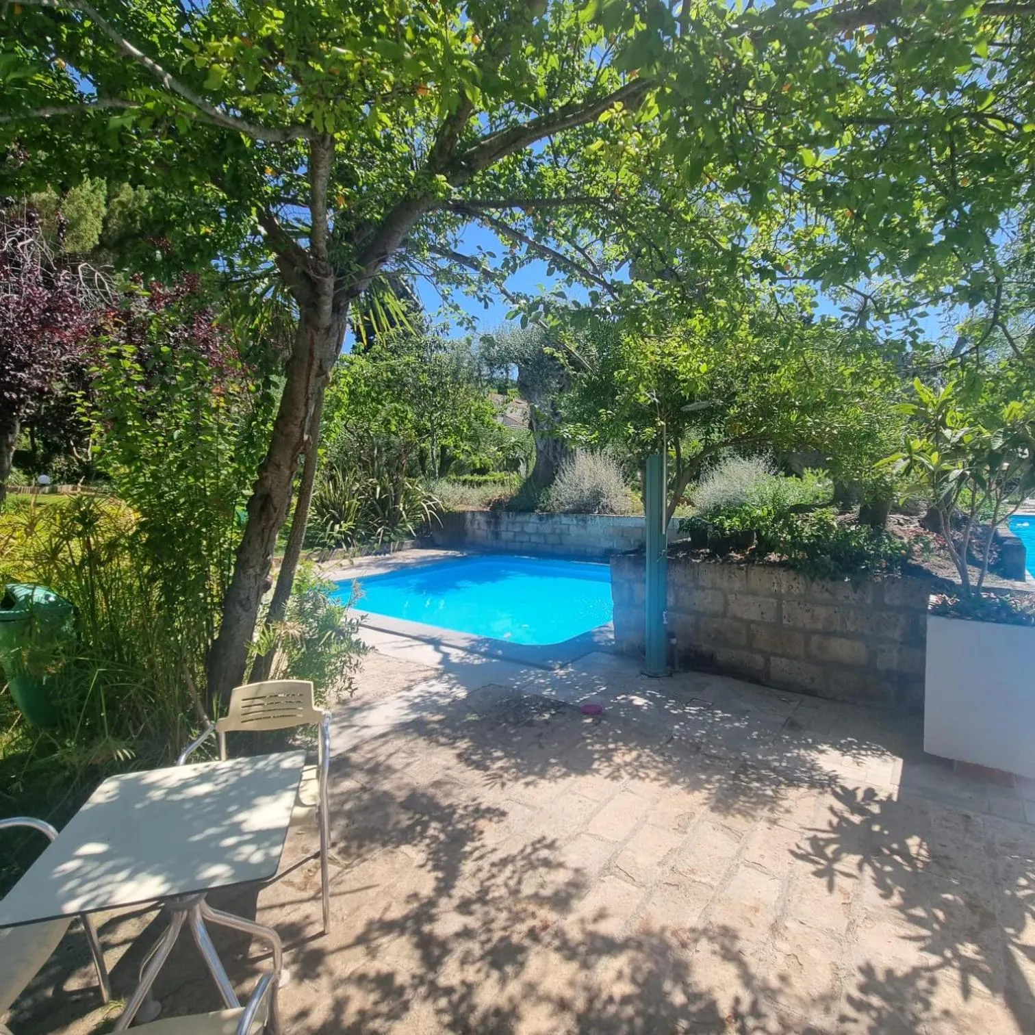 Pool view in Residence Solemaremma