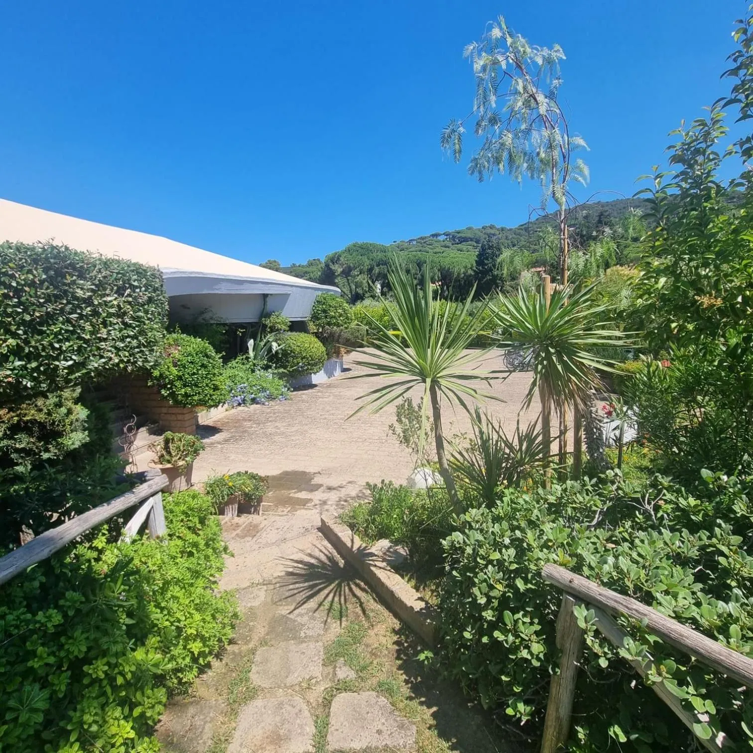 Spring in Residence Solemaremma