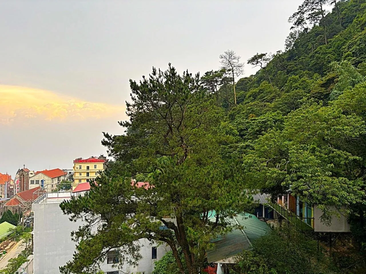 Natural landscape in Chân Mây Tam Đảo