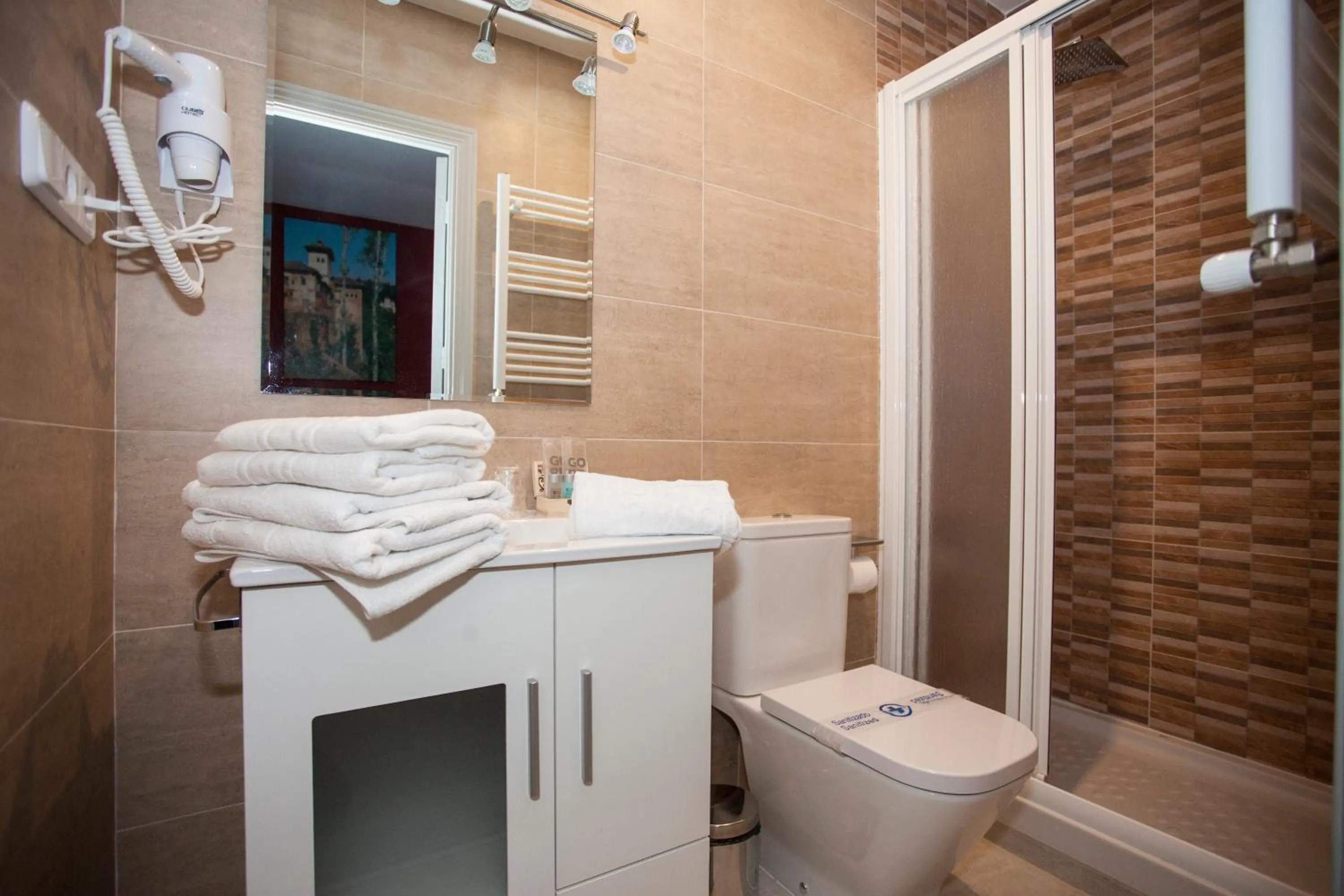 Toilet in Hostal Aresol