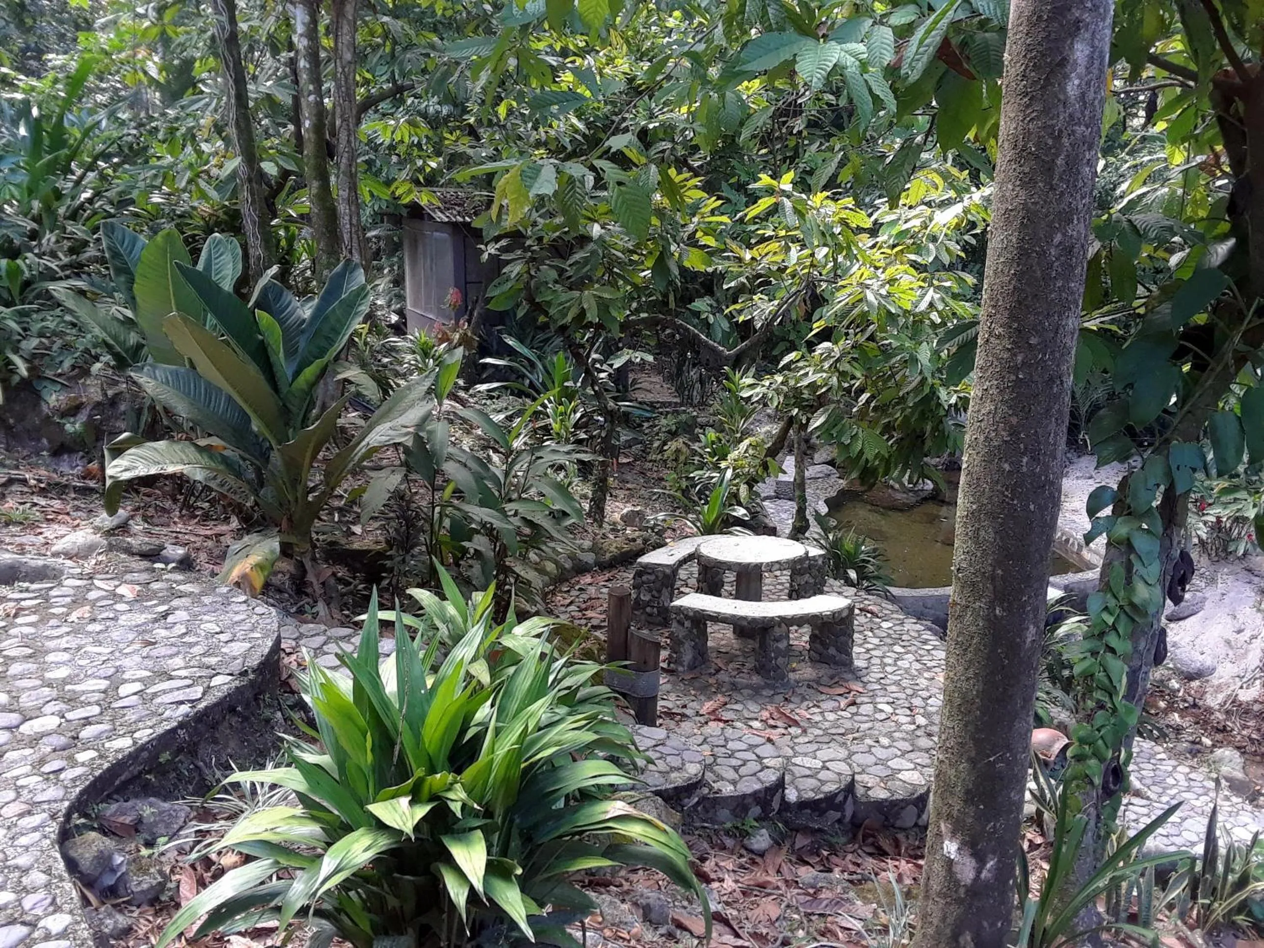 Garden in Casa Cangrejal B&B Hotel