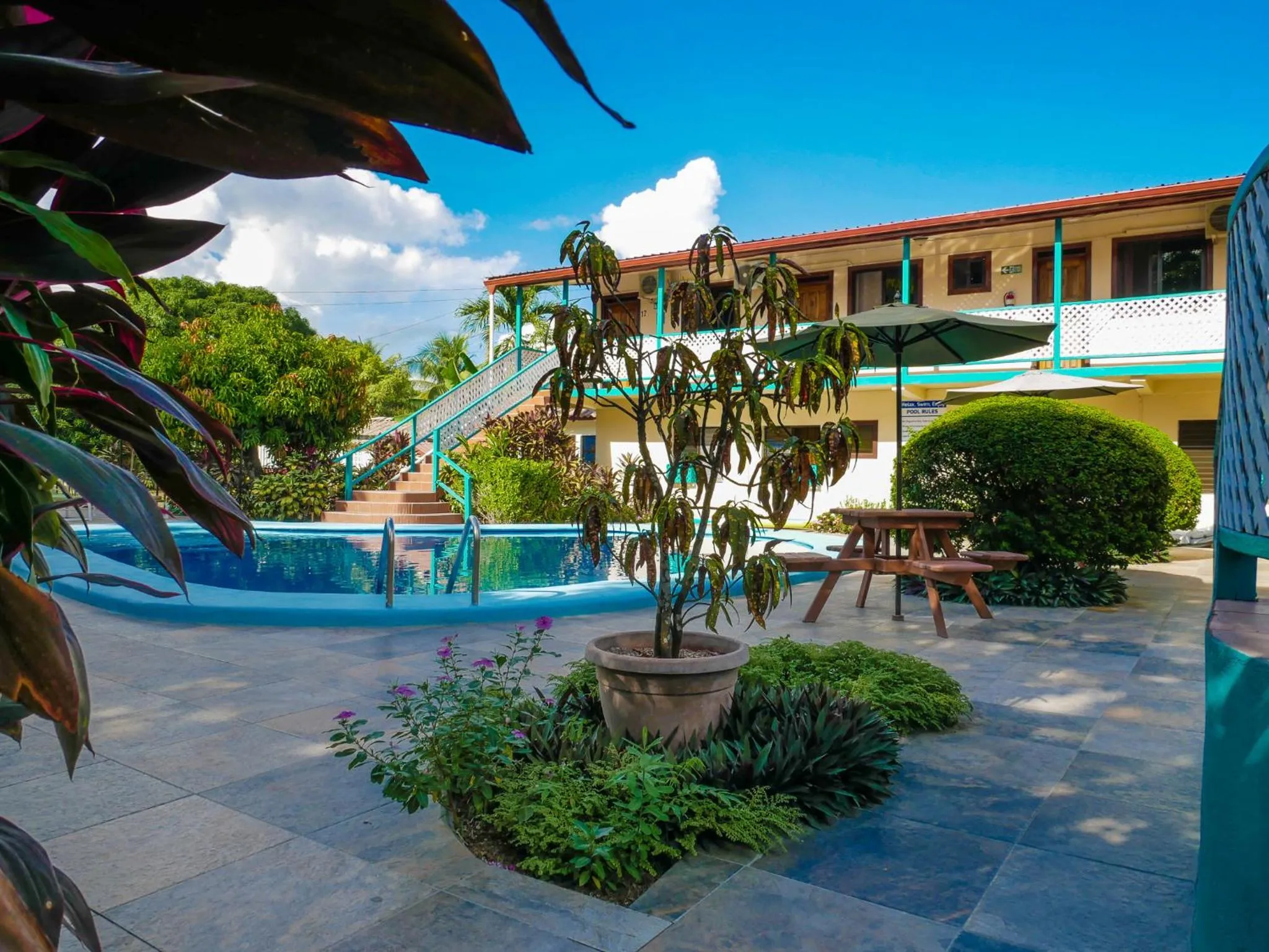 Swimming pool in Drift Inn Cayo