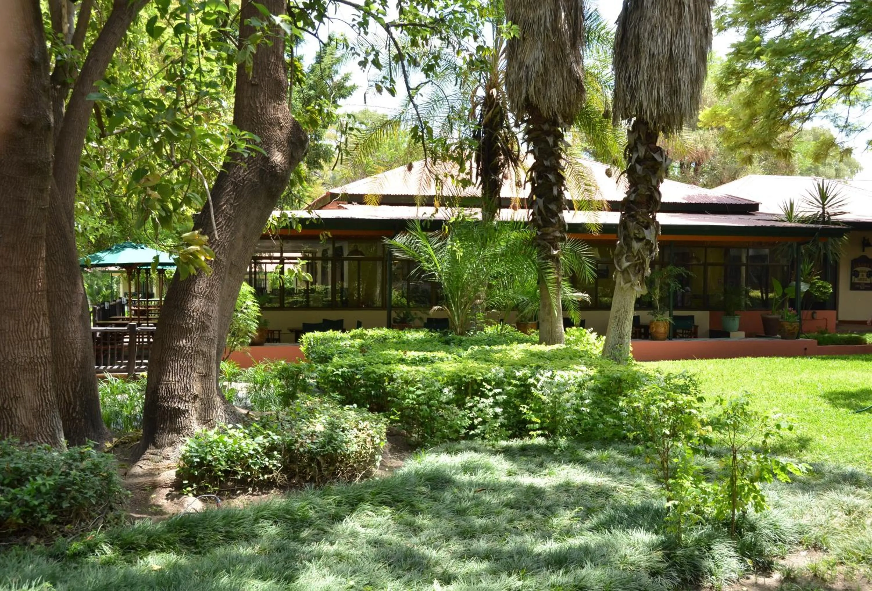 Garden in Cresta Riley's Hotel