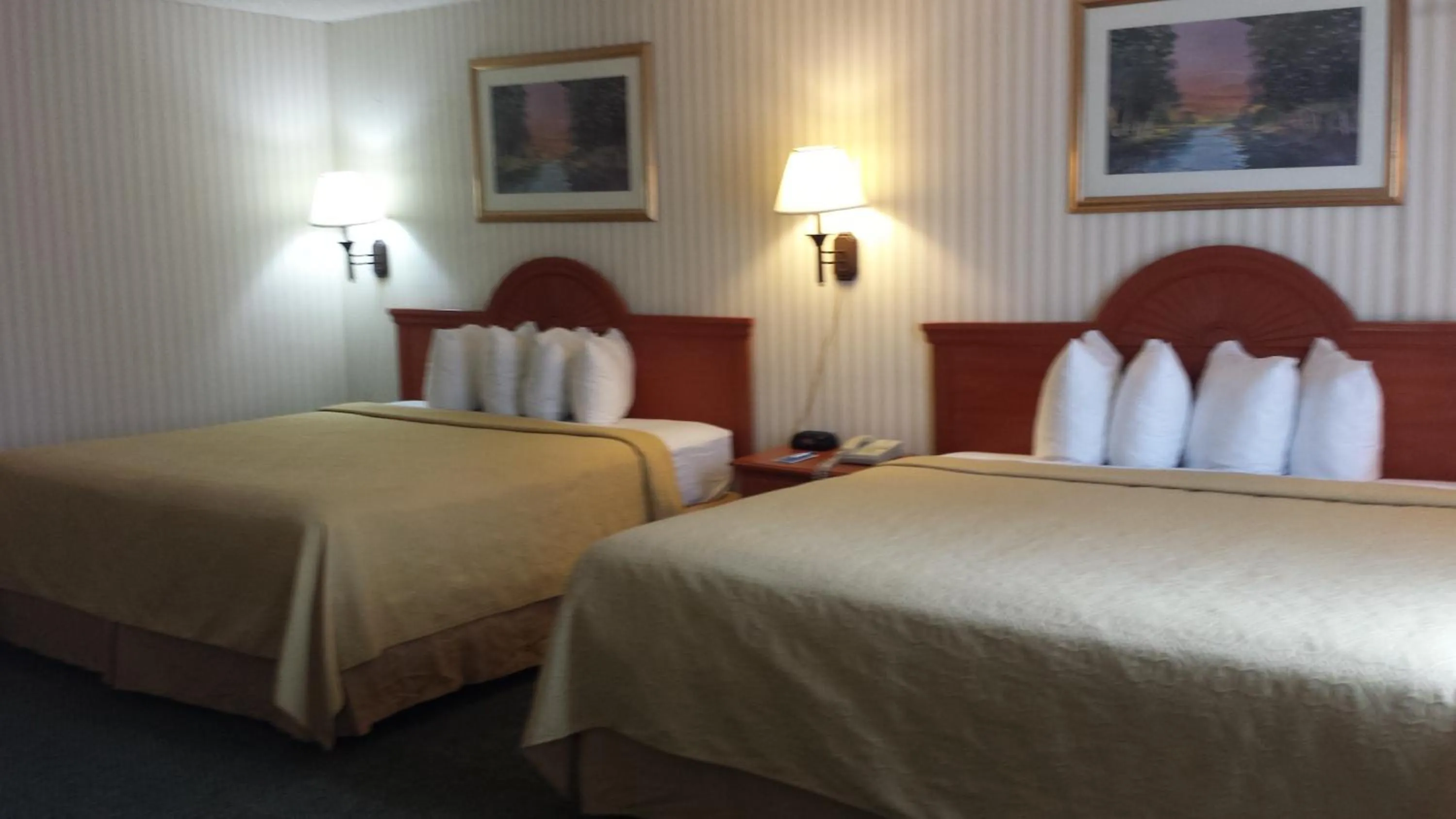 Bed in Rodeway Inn Joint Base Andrews Area