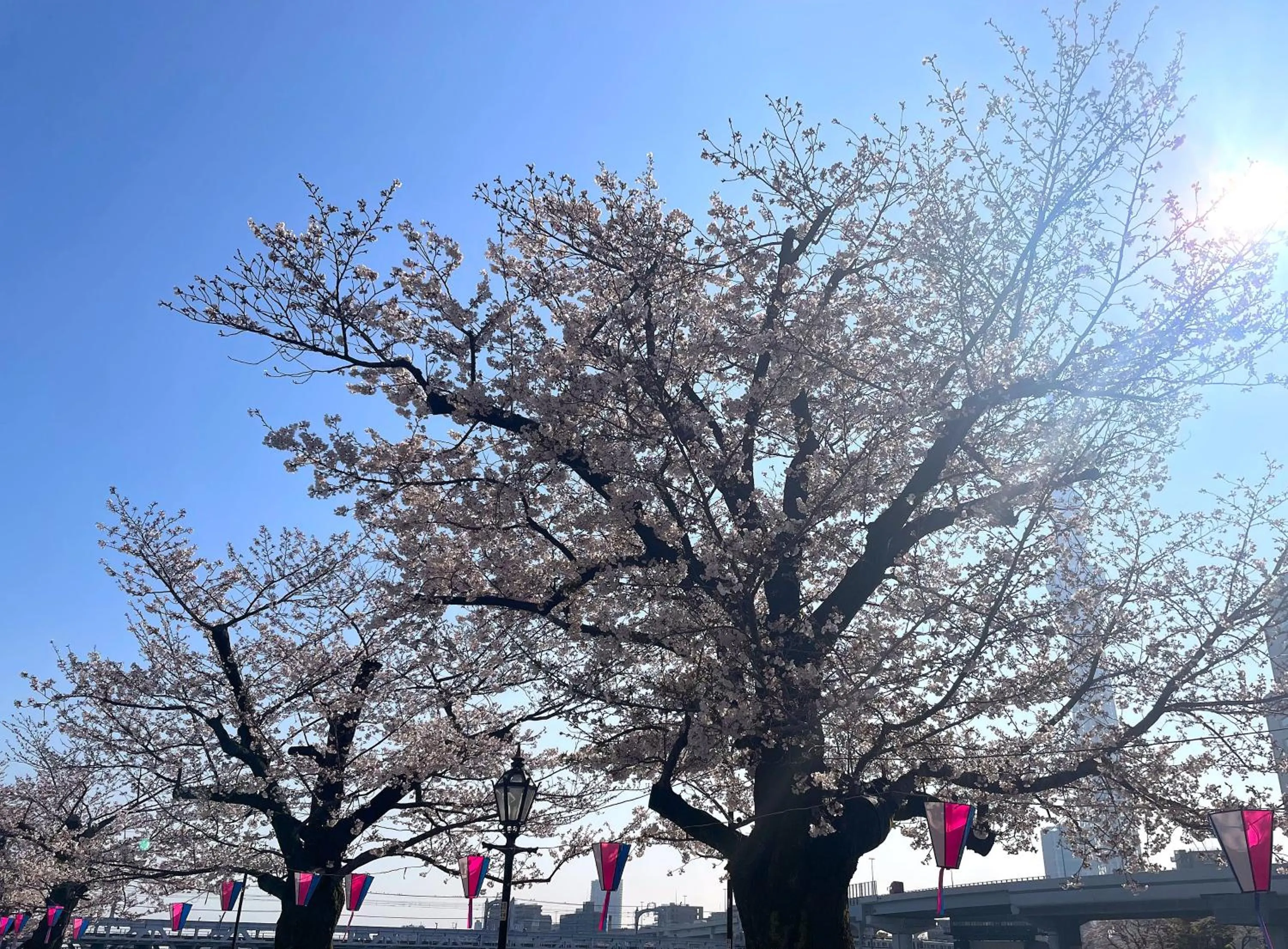 Nearby landmark in HOTEL AMANEK Asakusa Sakurabashi