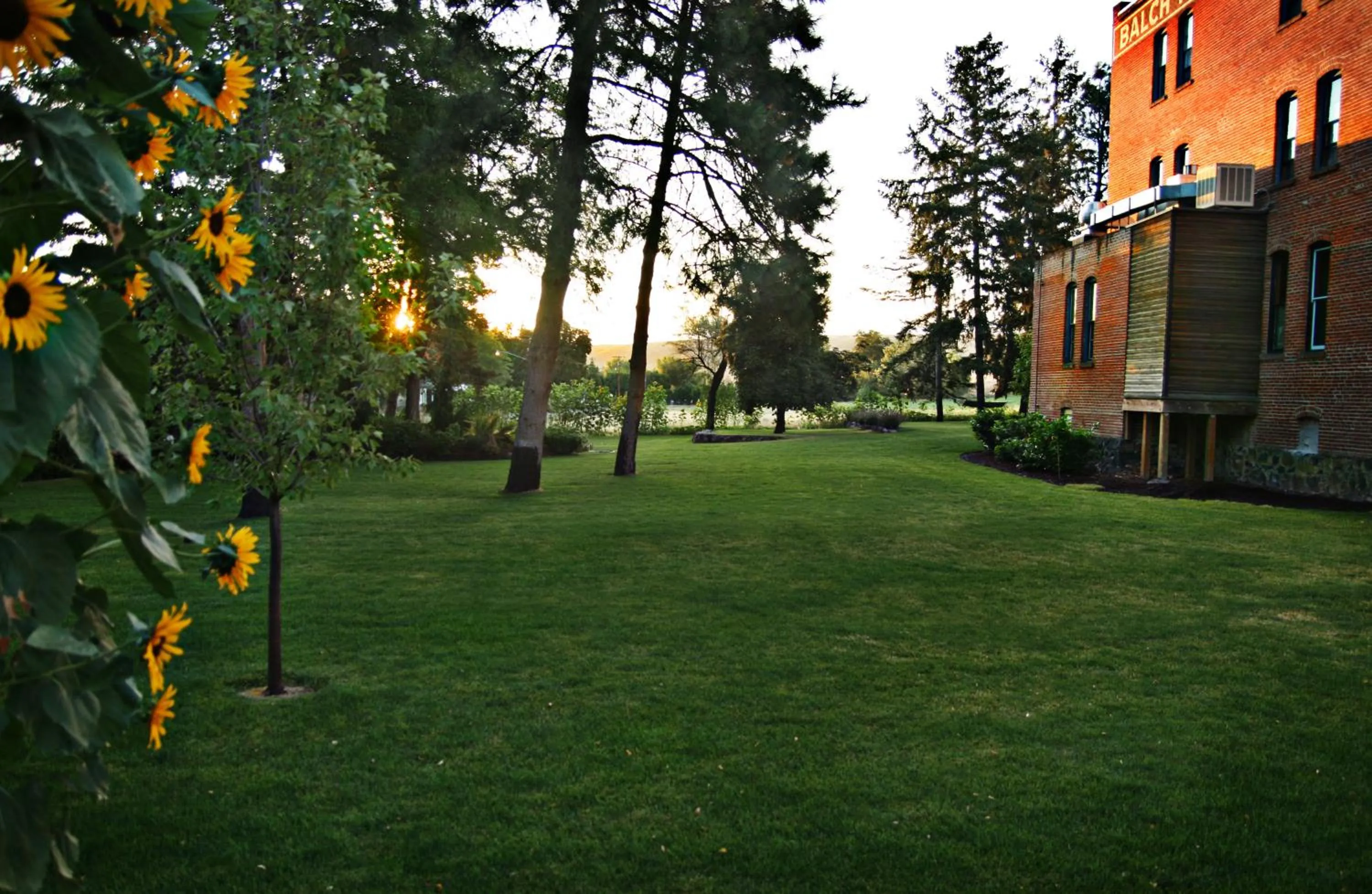 Garden in Balch Hotel